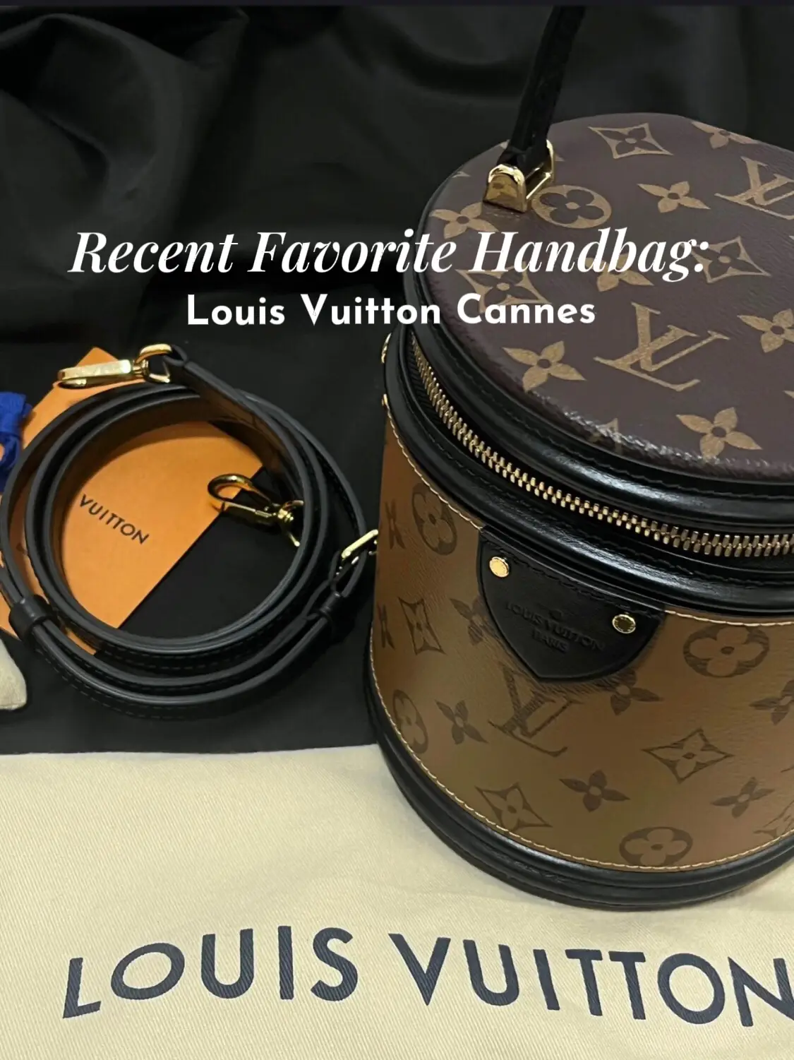 Louis Vuitton 2018 Pre-owned Cannes Vanity Case - Black