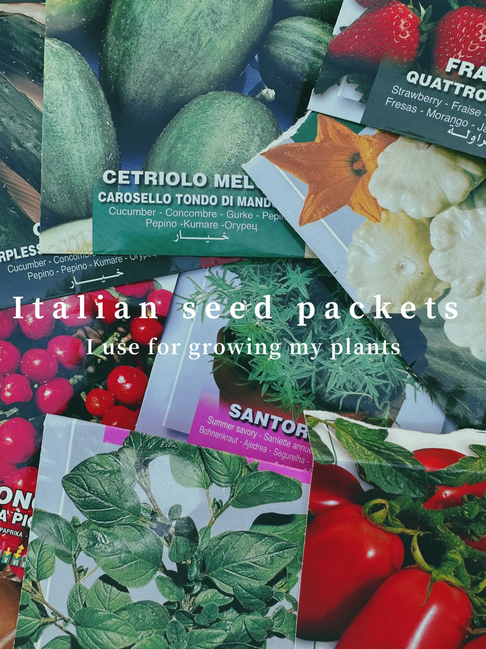 Italian seed packets are such a vibe! | Gallery posted by Oh My Garden |  Lemon8