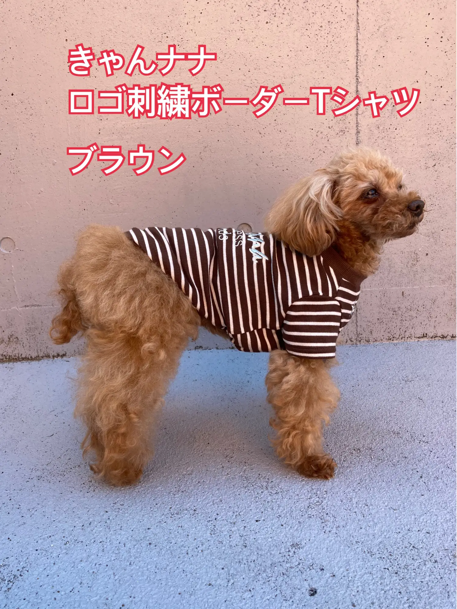 伸縮性バツグン犬服🐶 | ジャングルペット/犬服専門店が投稿したフォト