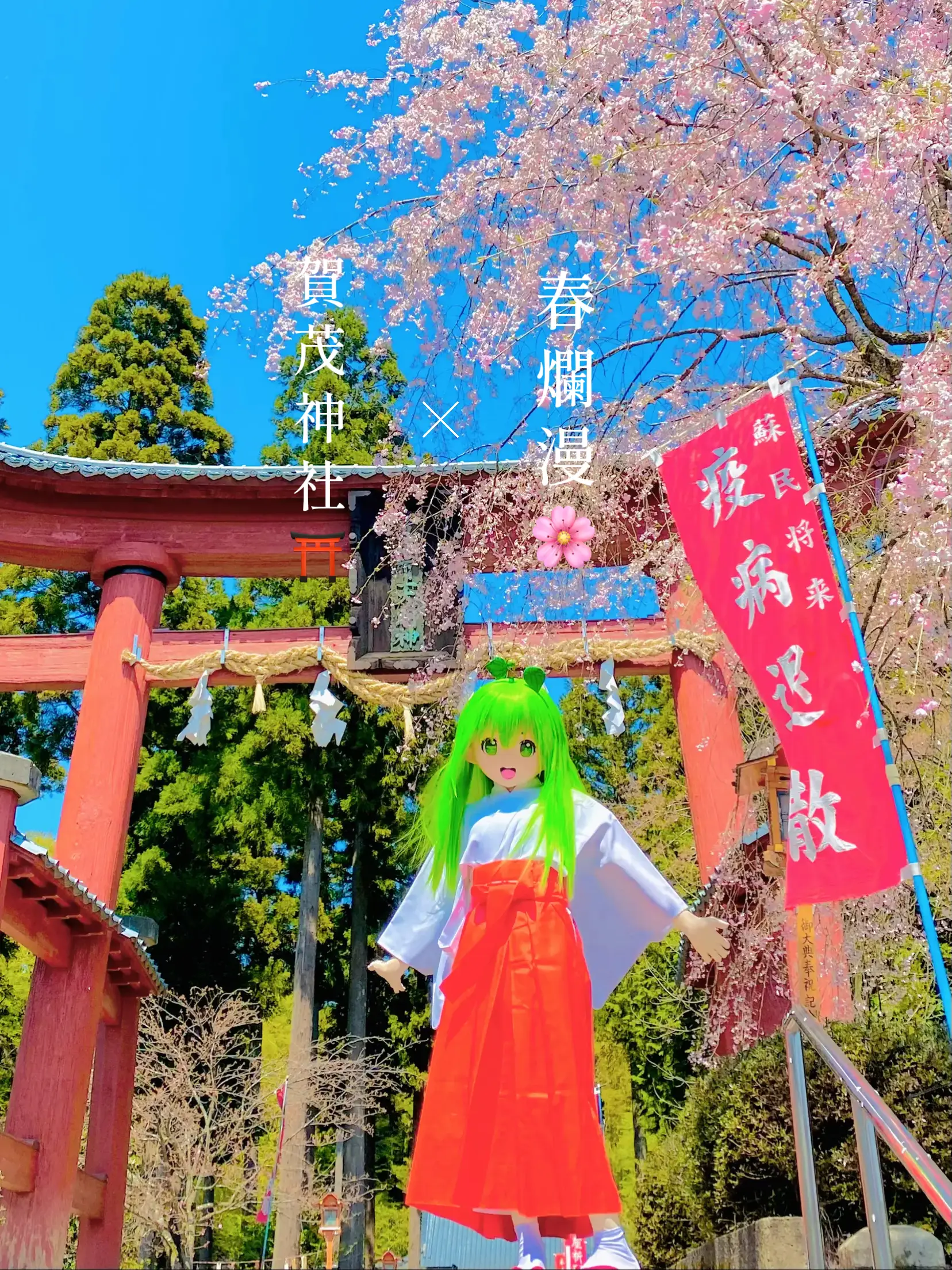 夢を叶える巫女が座す神社⛩賀茂神社⛩ 夢を叶えに🌱双葉夢叶 | 炎のサイクリストが投稿したフォトブック | Lemon8