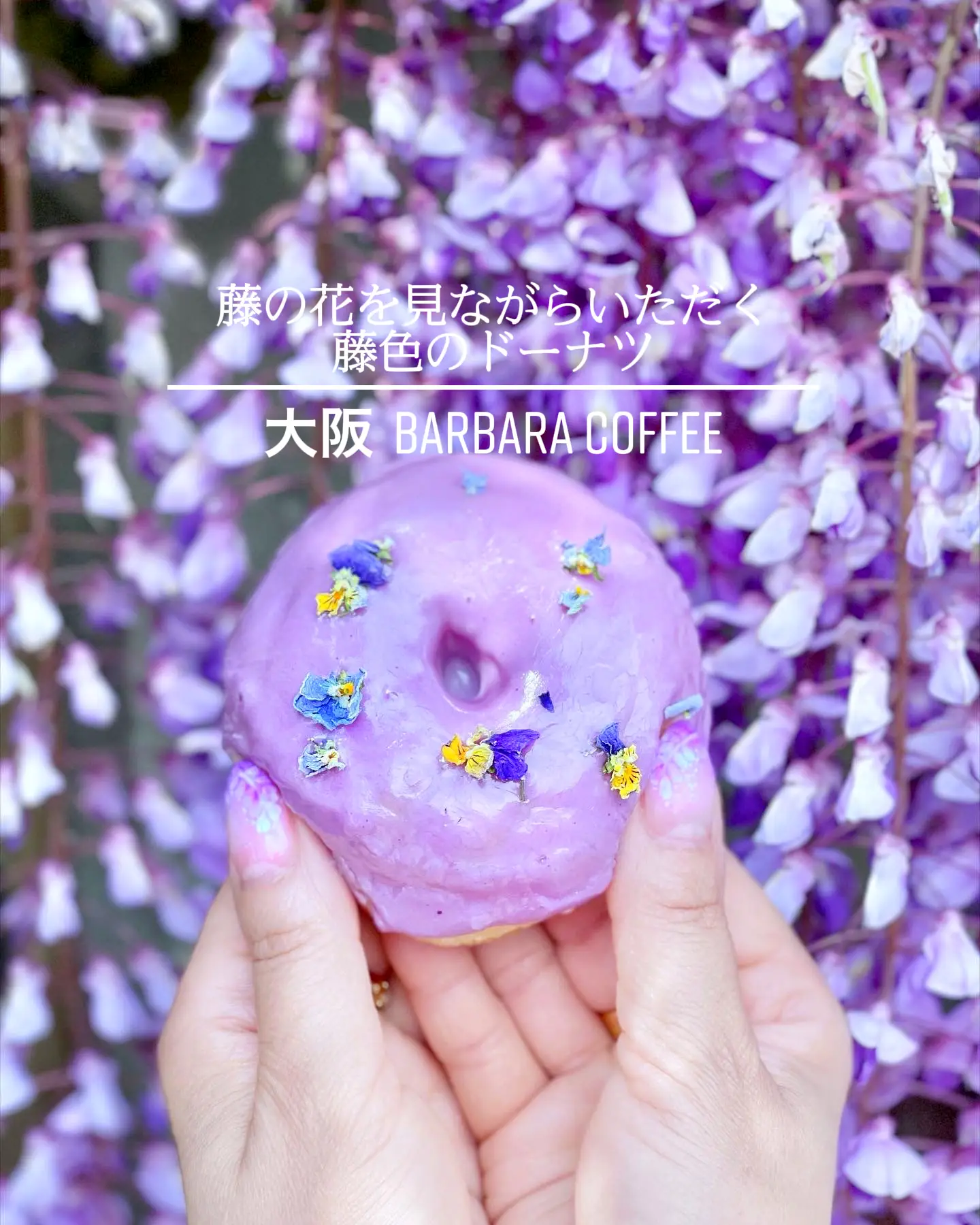 大阪✨️藤の花を見ながらいただく藤色のドーナツ🍩💜 | AKANEが投稿