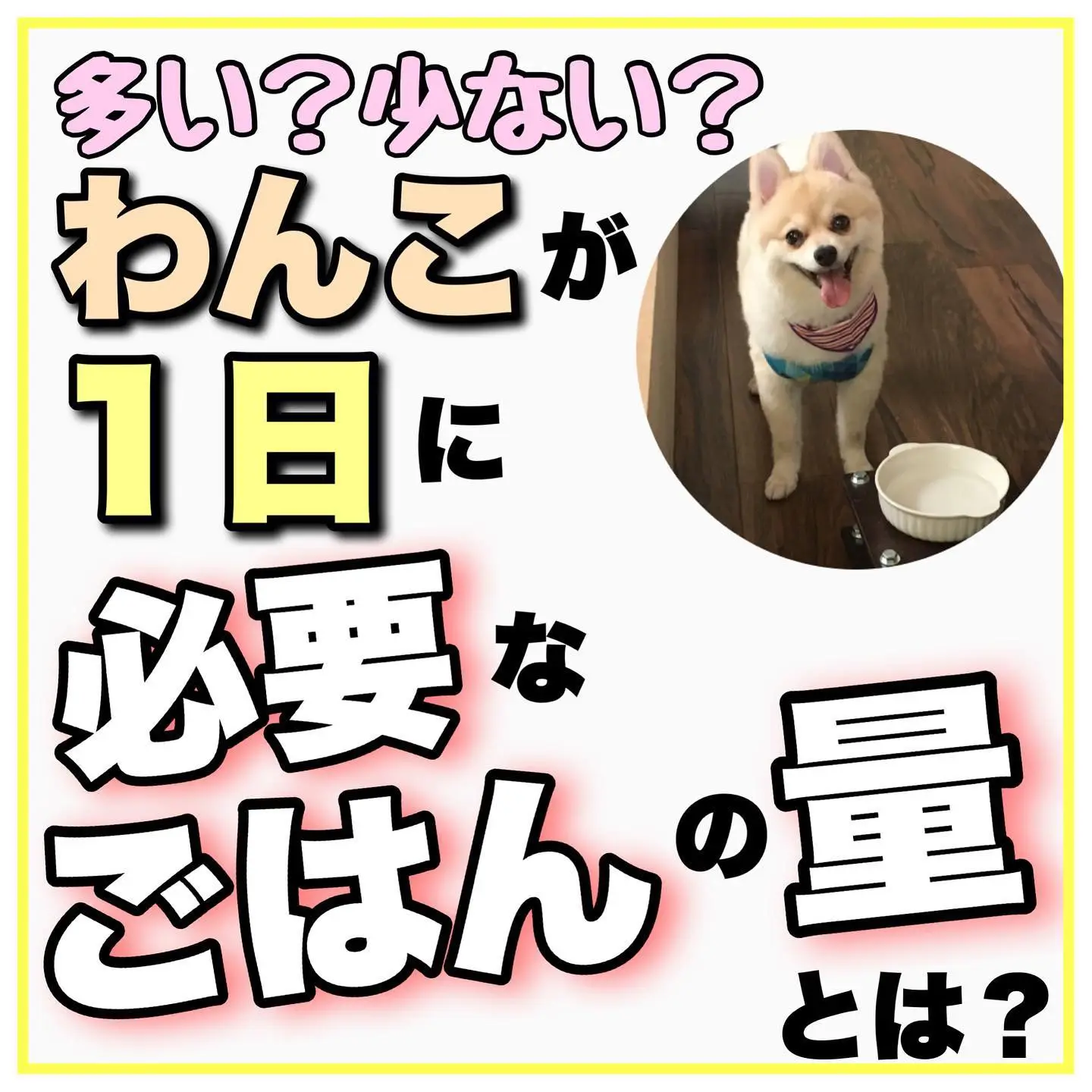 Best Dog Food for Pomeranians Lemon8検索