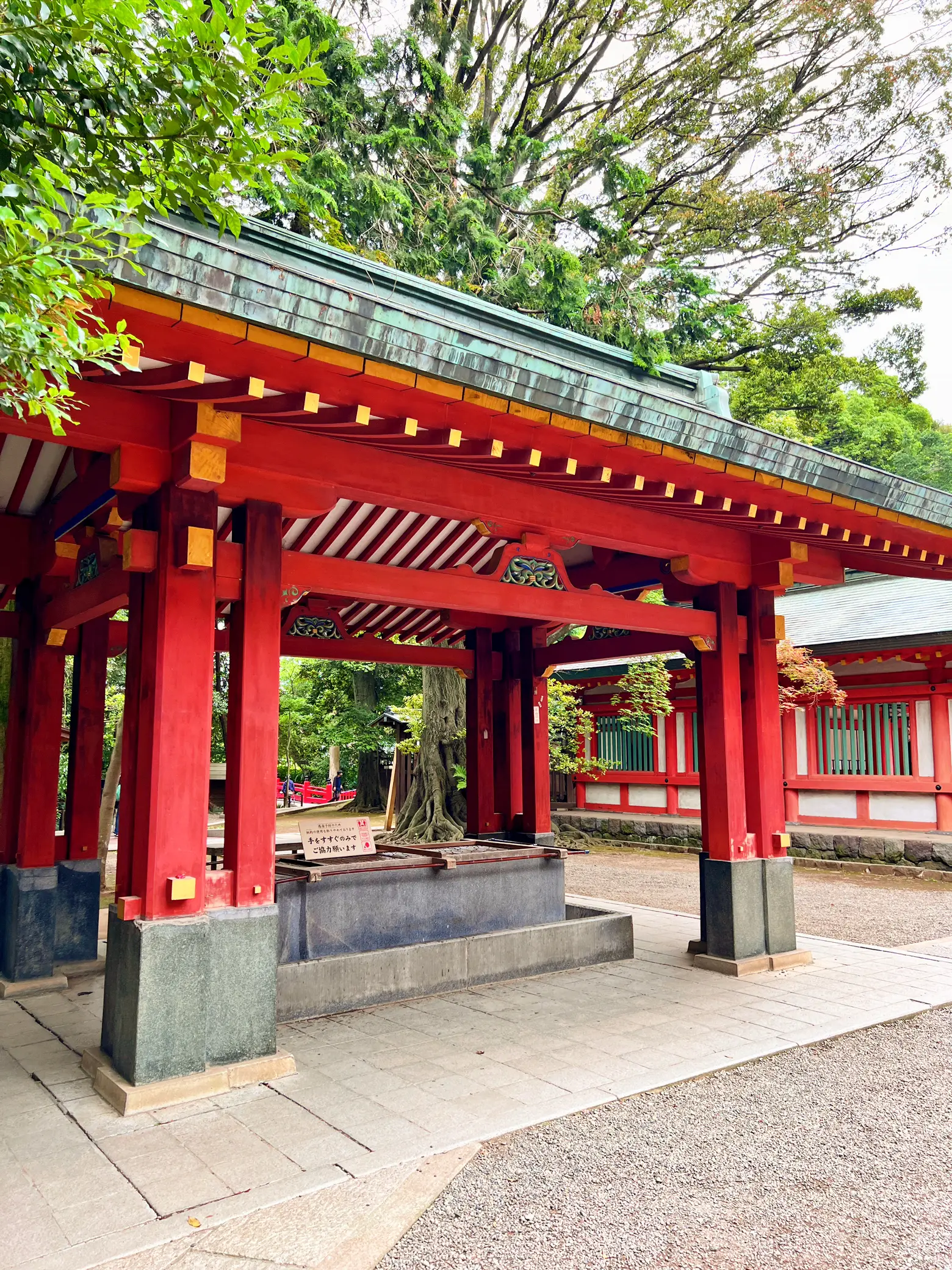 埼玉お出かけスポット】武蔵一宮氷川神社⛩ | Rin平日旅✈️おでかけ記録が投稿したフォトブック | Lemon8