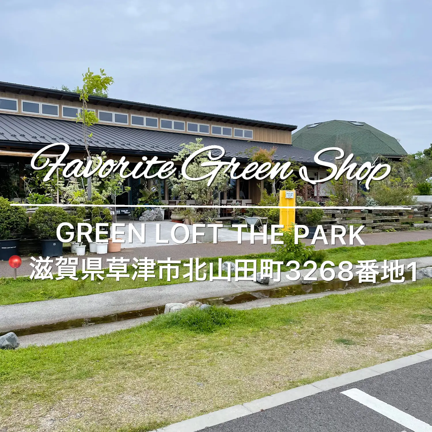 オススメ観葉植物のお店】GREEN LOFT THE PARK | Kayanohimeが投稿した