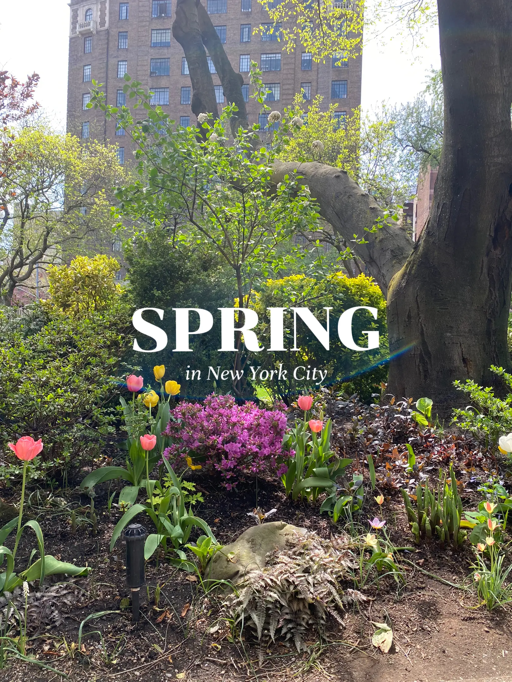 Spring in New York City + Gallery posted by gathering