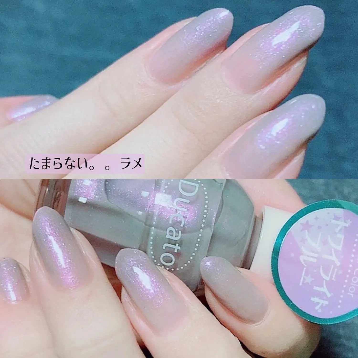 Ducatoの夏💅 | yukiko15が投稿したフォトブック | Lemon8