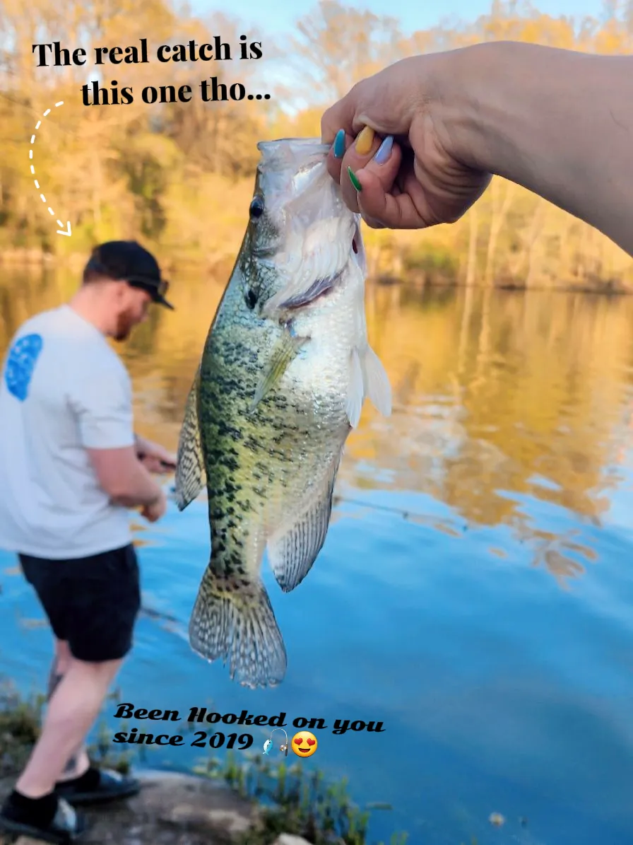 Crappie Fishing☀️🎣, Gallery posted by Lena✨