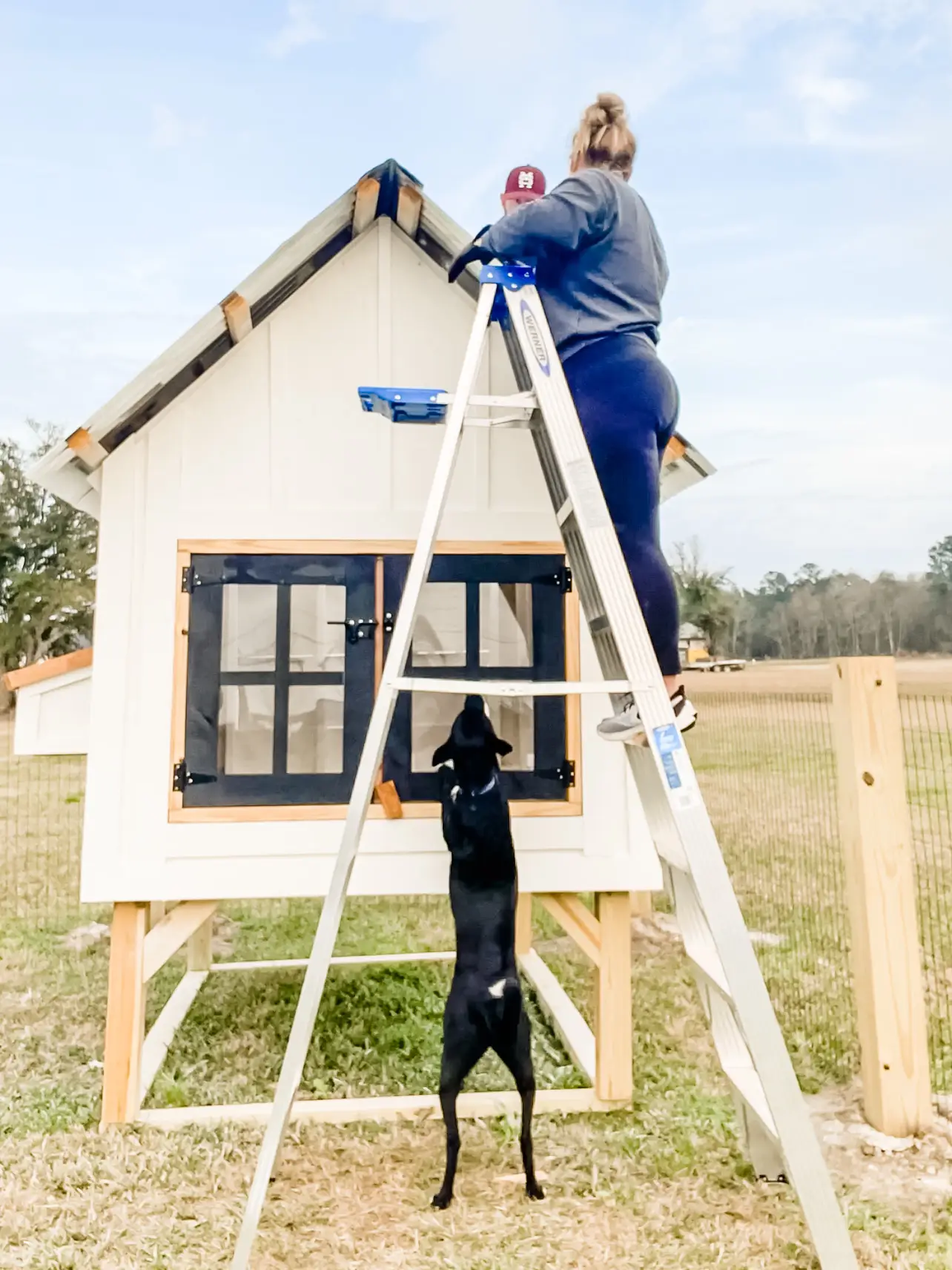 How To Make A Chicken Coop With Pallets: Model SiSi