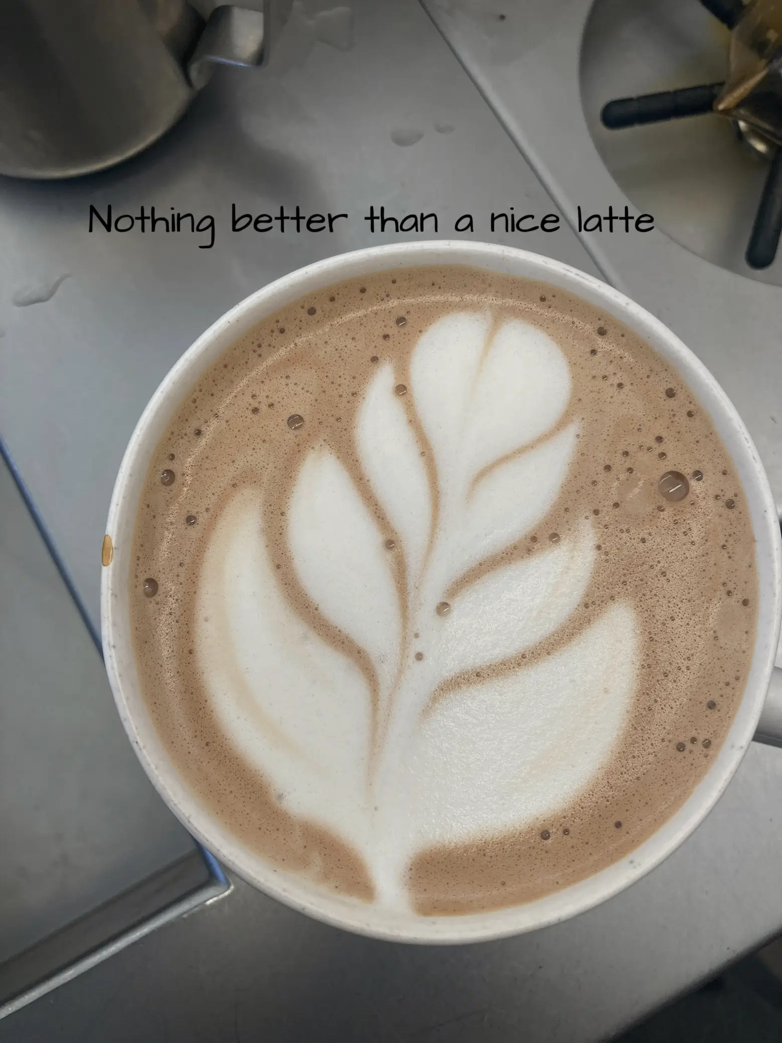 Latte Art: Tulip vs Rosetta - Detailed Comparison Guide