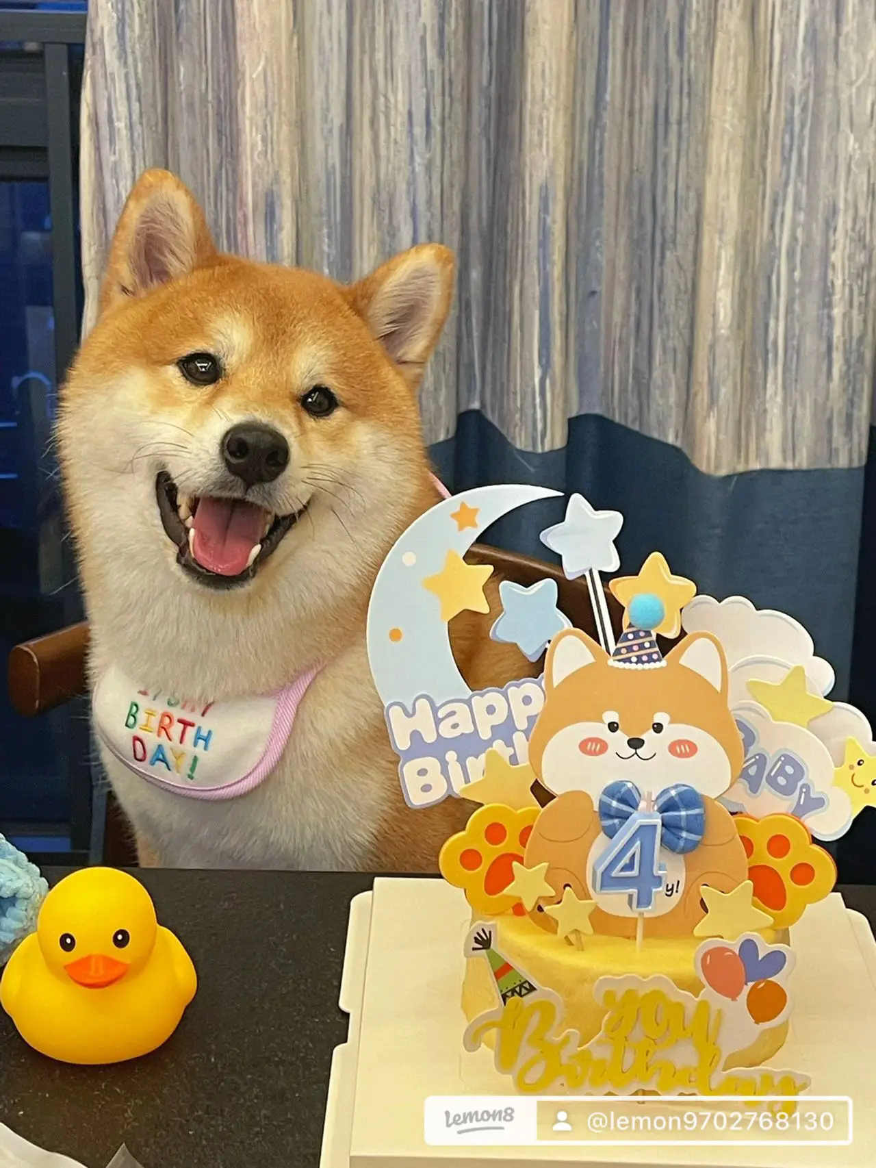 3.5cmキューピー芝犬 【公式通販】