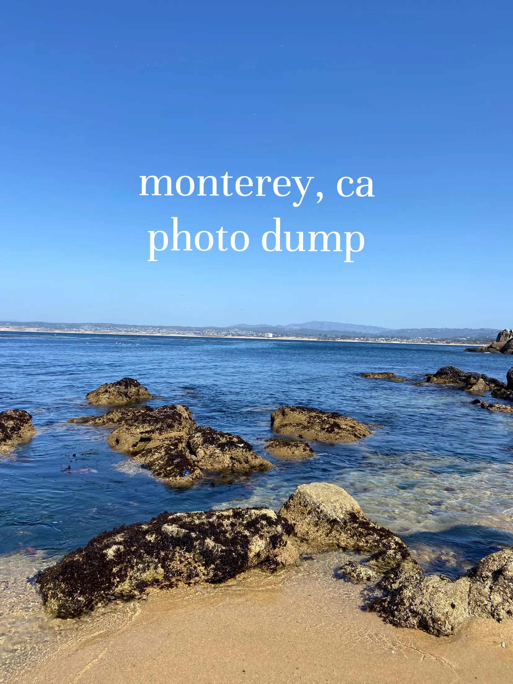 a little photo dump of my day แกลเลอรีที่โพสต์โดย maddy Lemon8