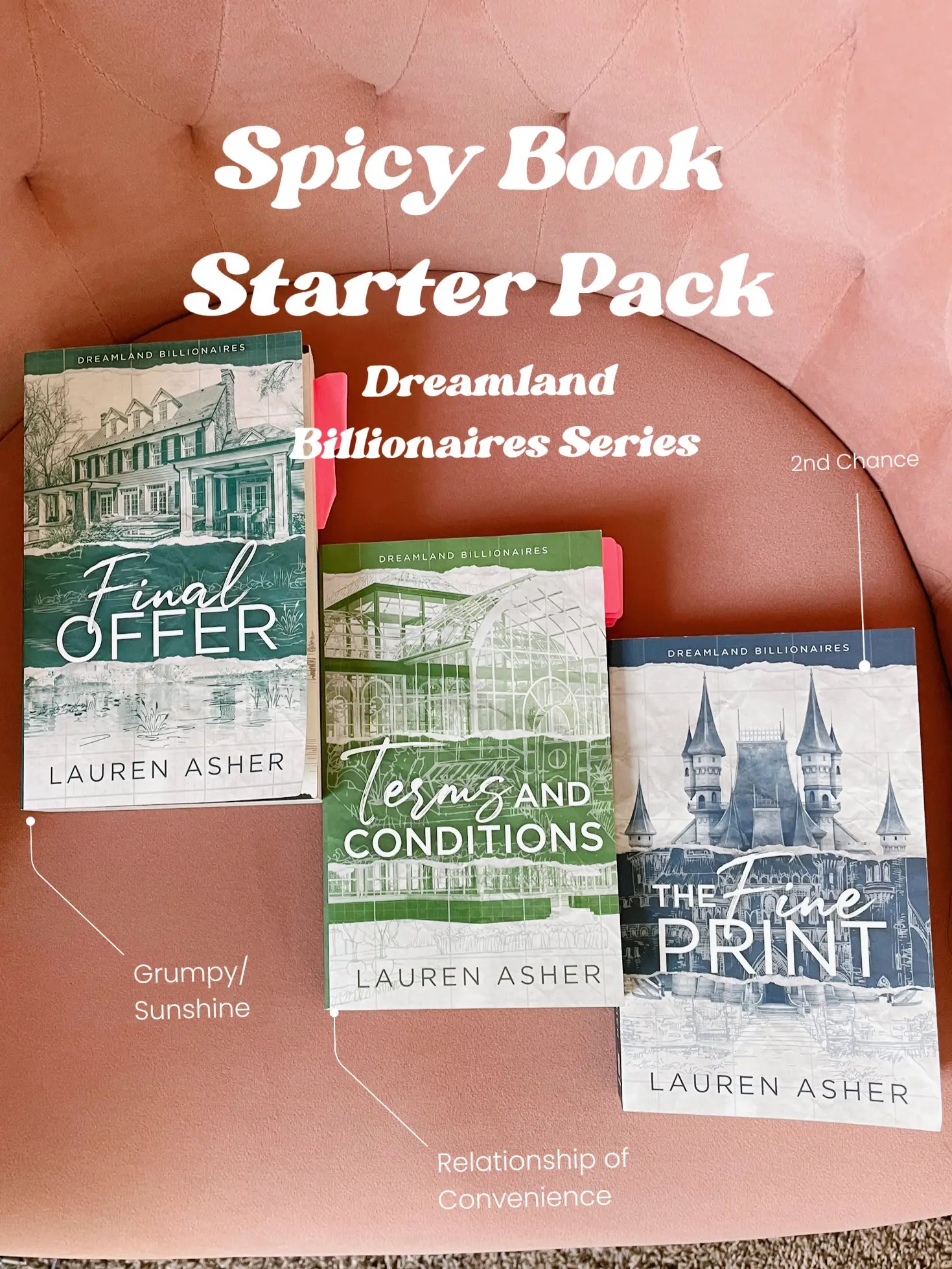 Spicy Book Starter Pack | Dreamland Billionaires | Gallery posted 