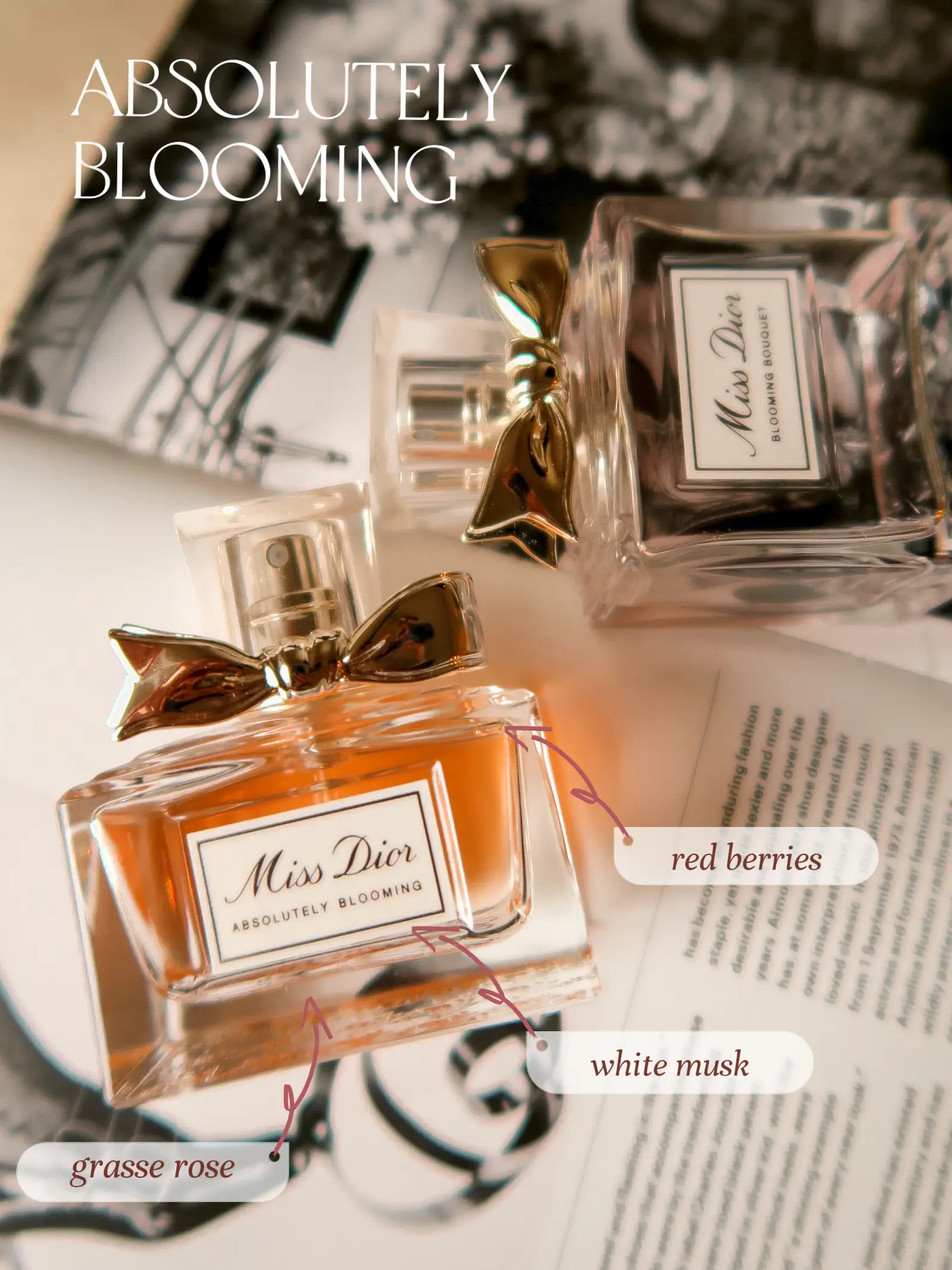 Miss dior absolutely 2025 blooming review indonesia