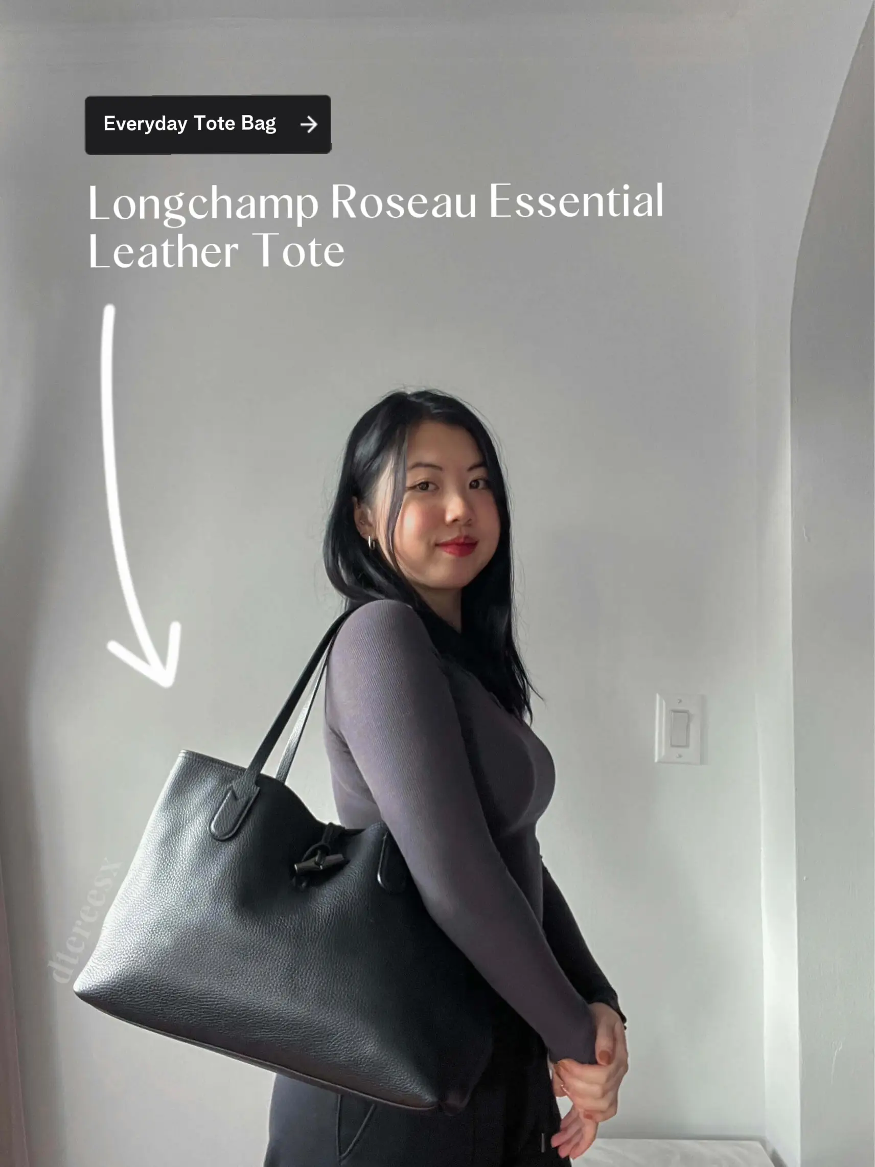 Longchamp Roseau Medium Leather Shoulder Tote