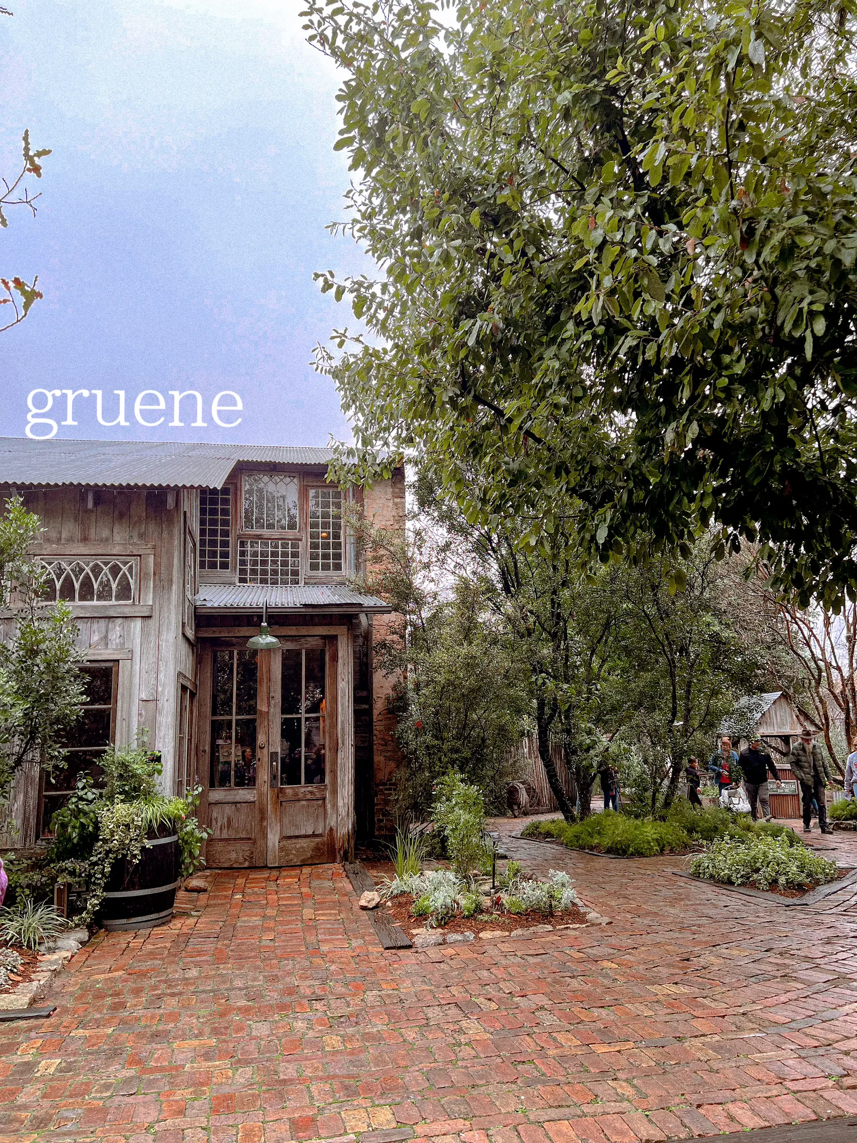  A brick road with a tree and a sign that says gruene.