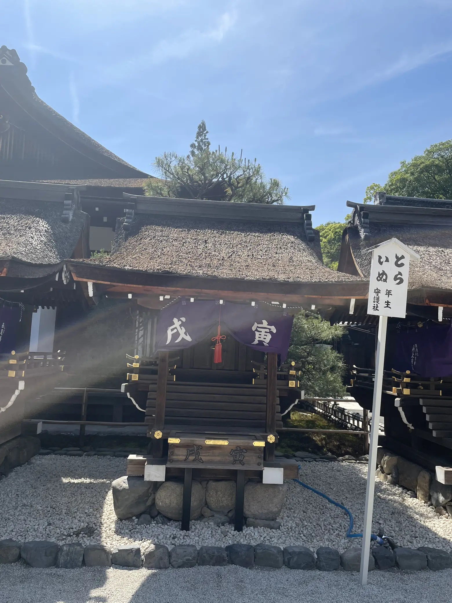 京都 世界遺産 ✨パワースポット下鴨神社✨ | Mayumi Tが投稿したフォトブック | Lemon8