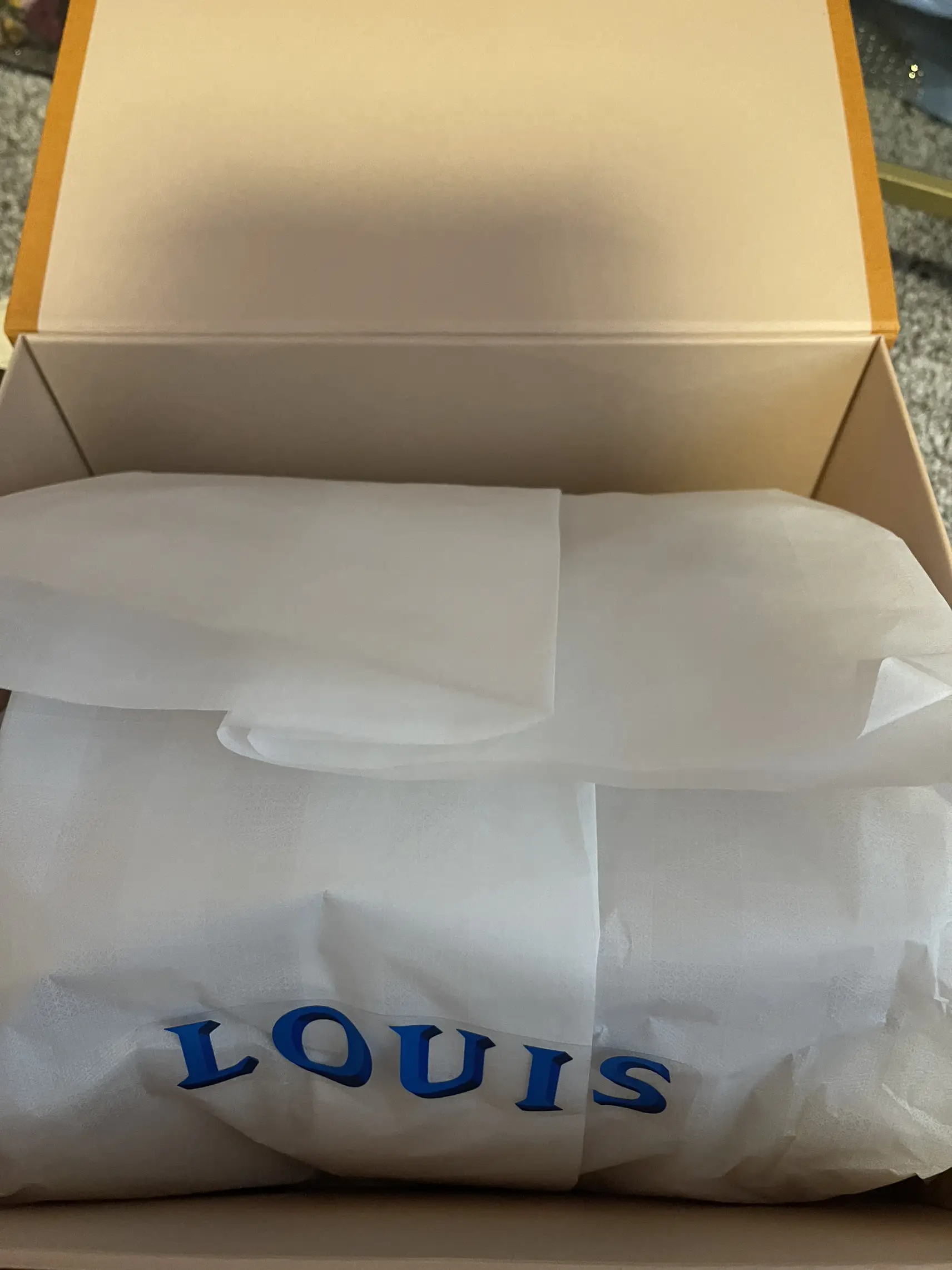 Louis Vuitton Unboxing Part 2. #louisvuitton #louisvuittonbag