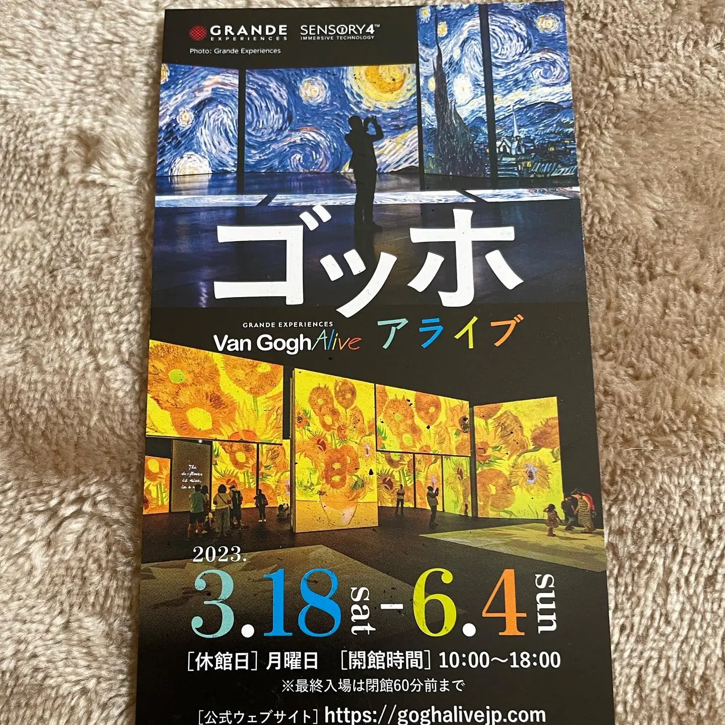 話題のゴッホアライブへ行ってみた | miii27N31が投稿したフォトブック | Lemon8