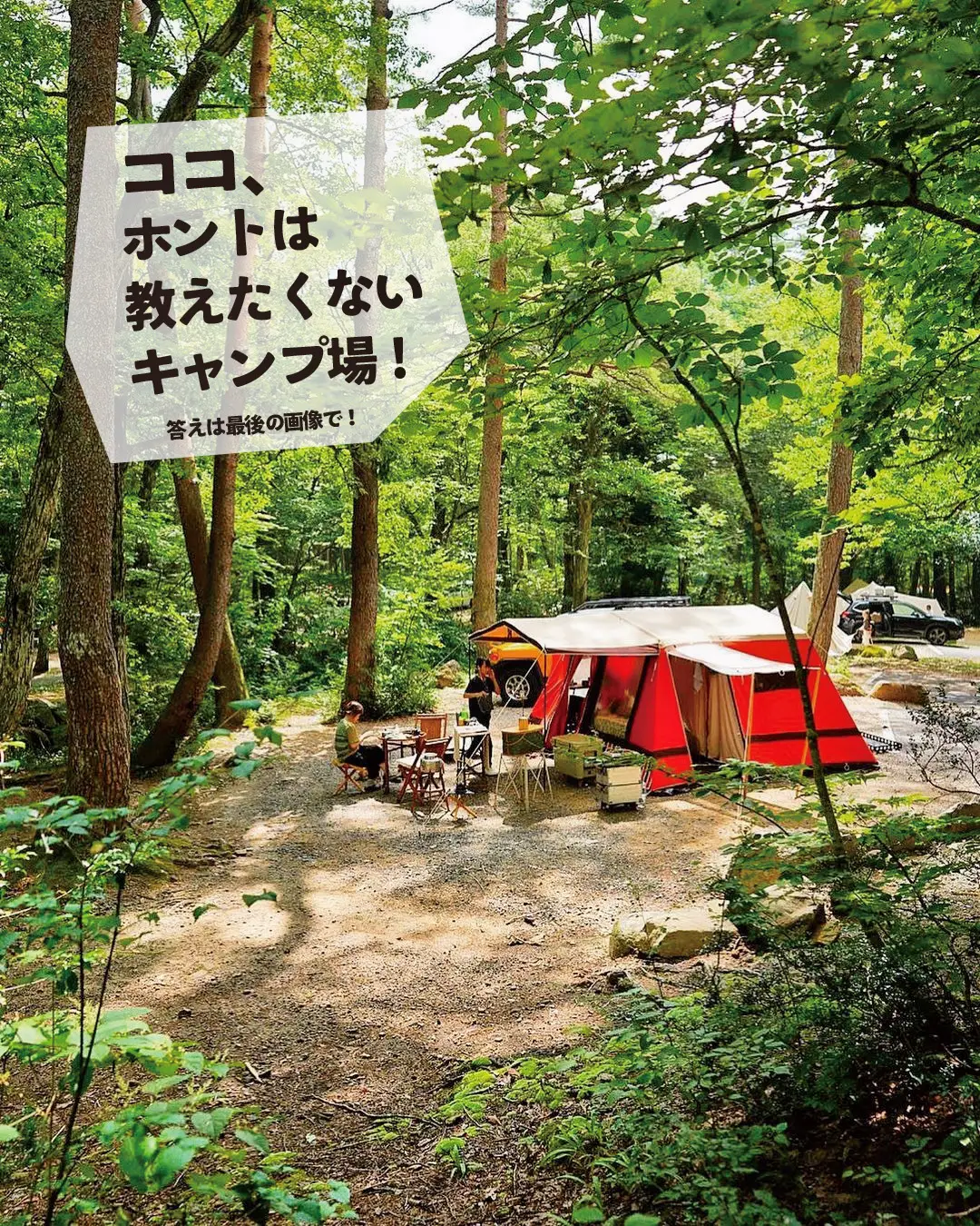【岐阜】ココ、ホントは教えたくない💦美しすぎる林間キャンプ場の画像 (0枚目)