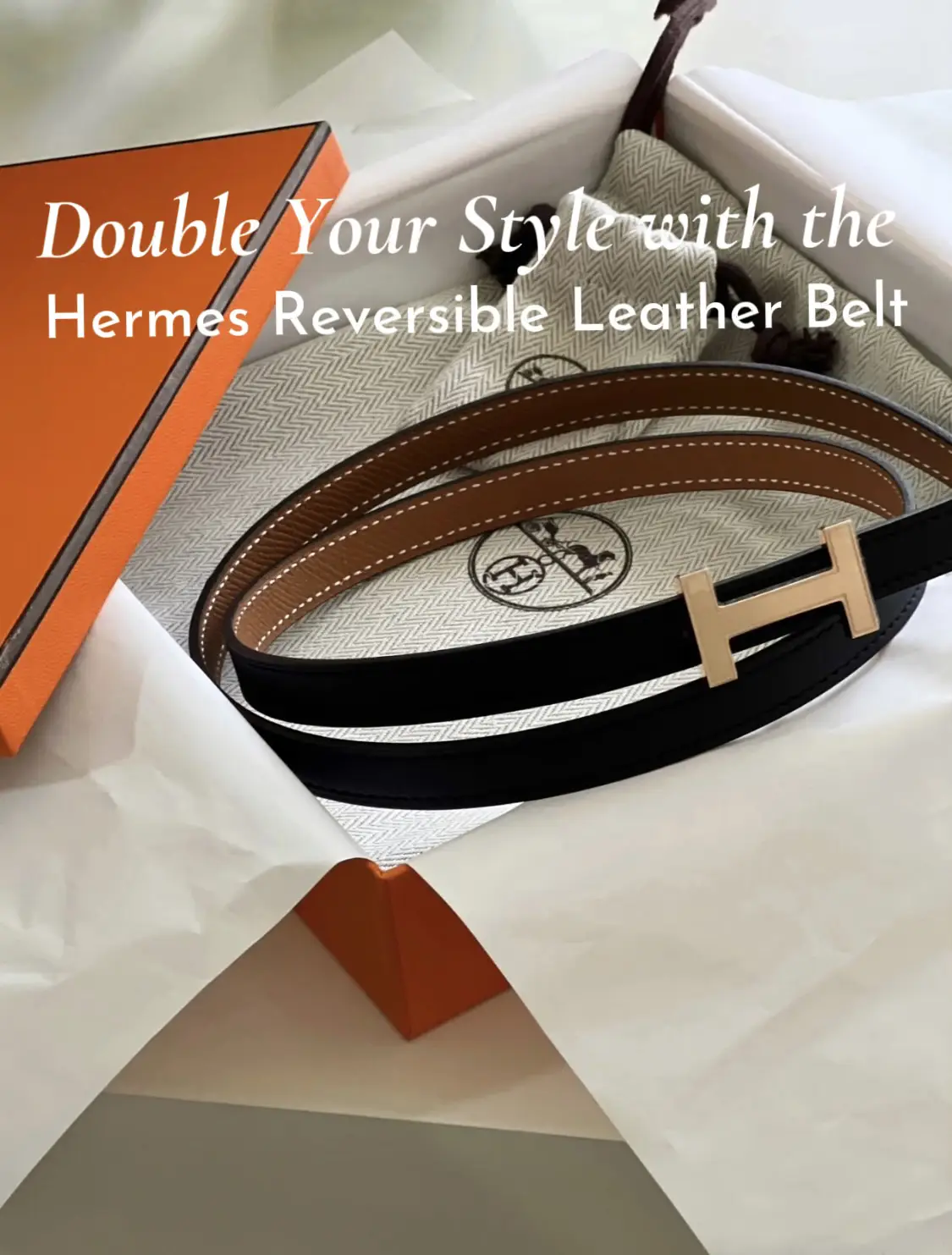 sorelle in style: the hermès belt