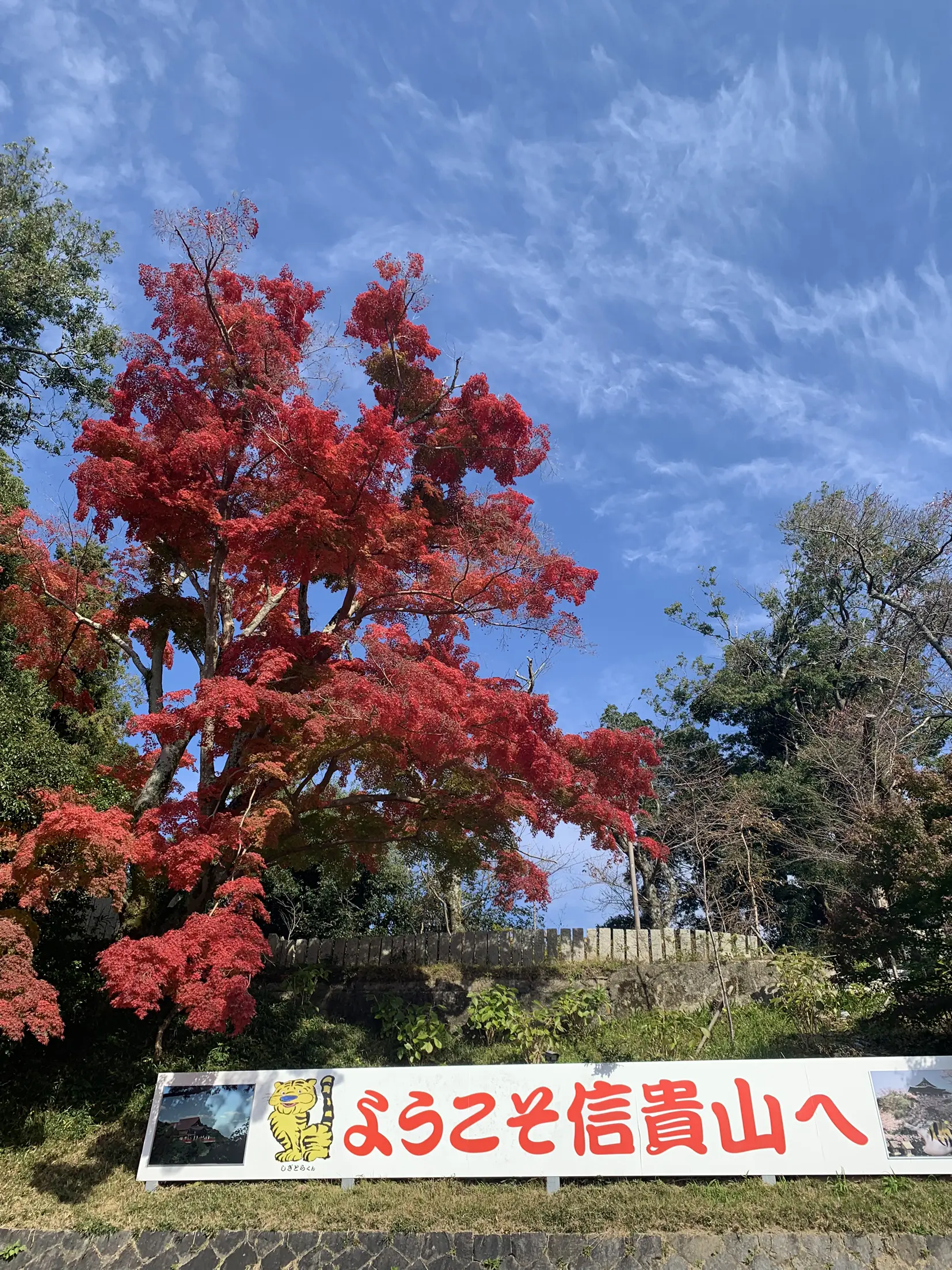信貴山 朝護孫子寺 寅で有名お寺へ行って来ました。 寅年でT | Kansai 