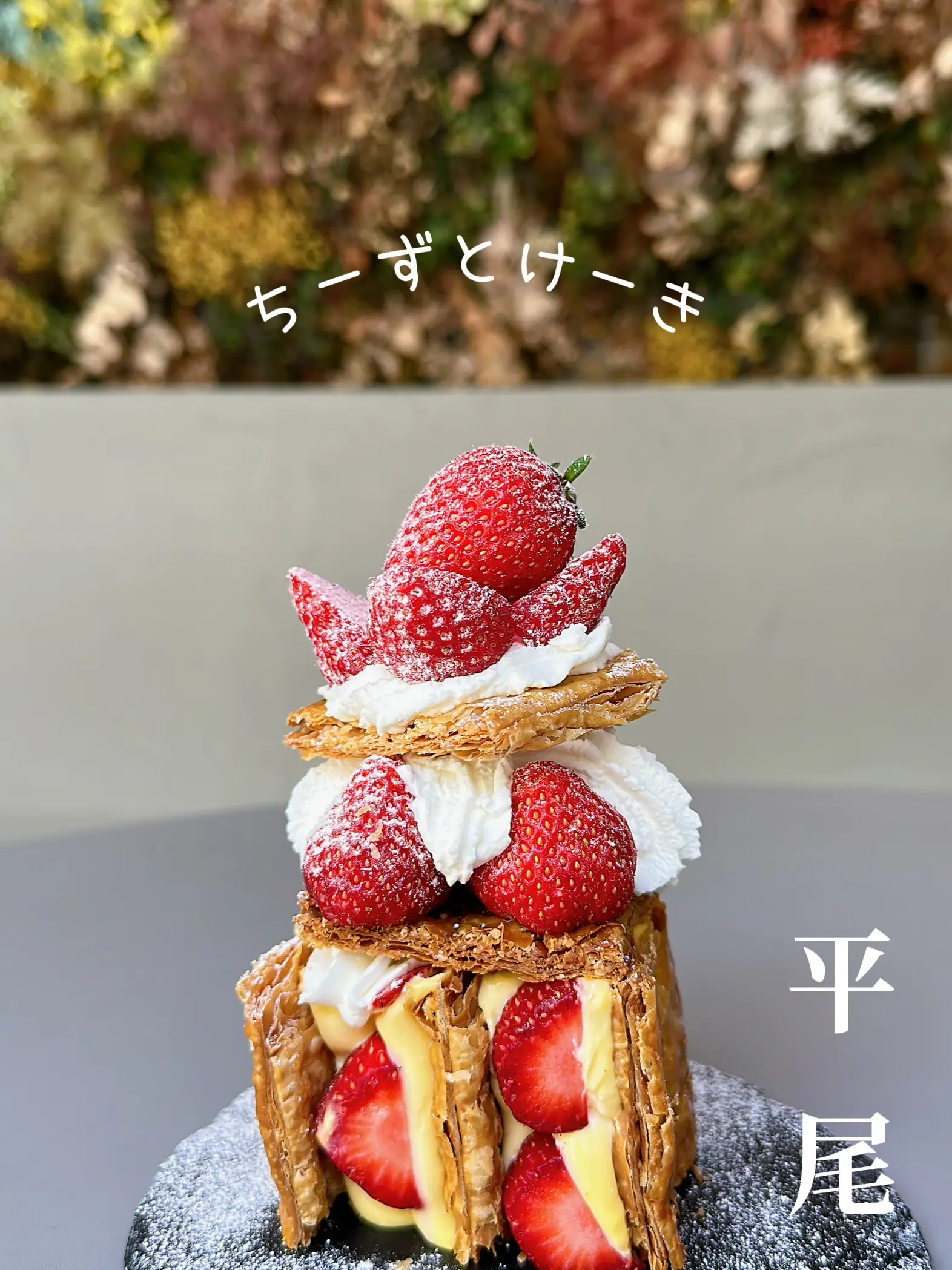 福岡】ドライフラワーに囲まれた店内で食べるチーズケーキ専門店🧀💐 | hicho_cafeが投稿したフォトブック | Lemon8