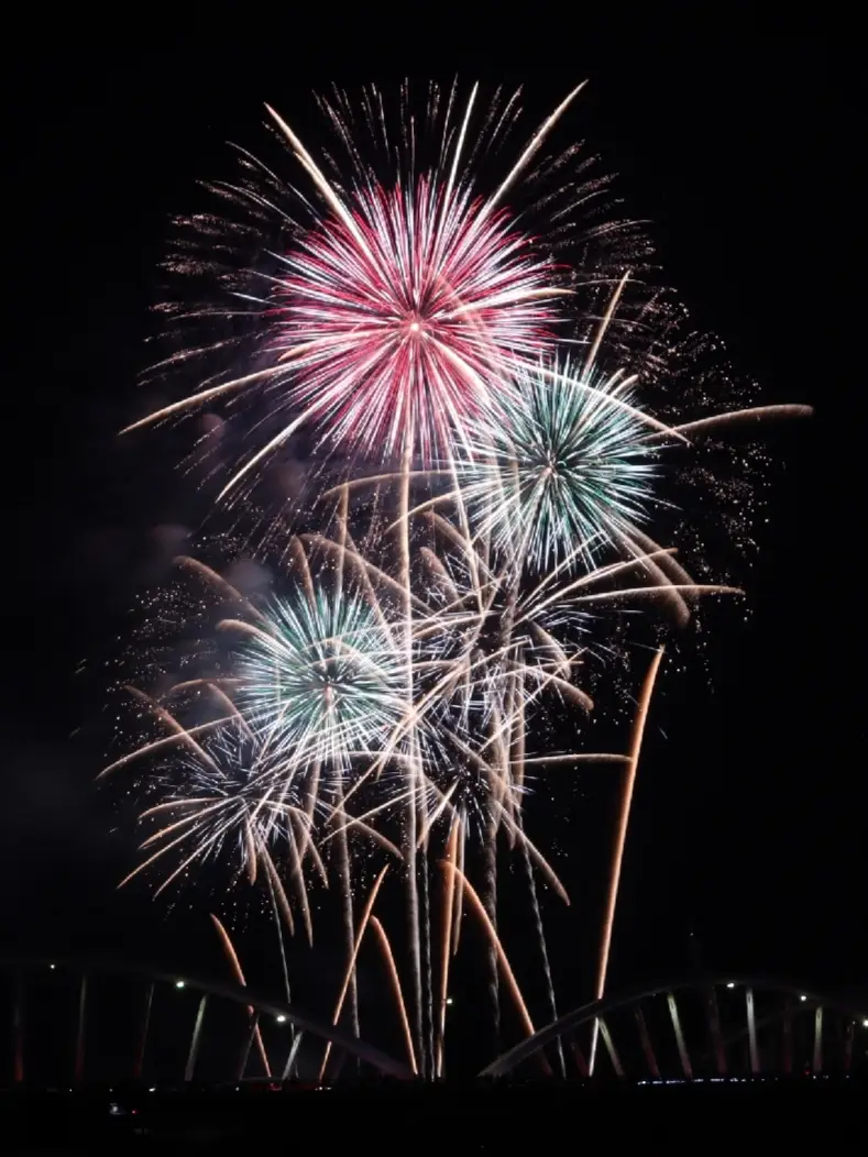 3年ぶりに開催 豊田おいでんまつり 花火大会🎇 | MARIが投稿したフォトブック | Lemon8