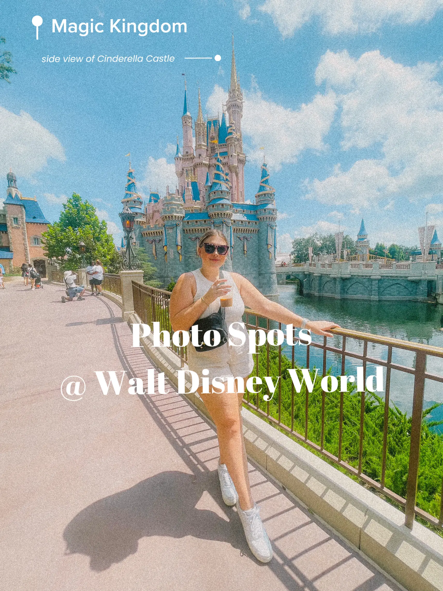 【レアな2枚組】WDW Where Magic lives. レアな2枚組】WDW Where Magic lives.