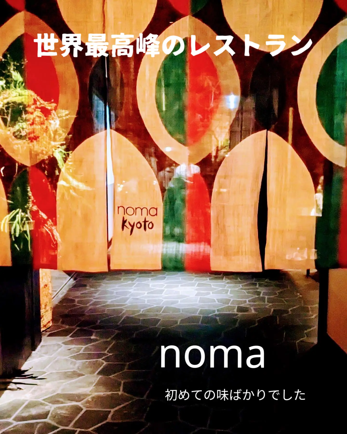 京都】世界最高峰の食体験「noma kyoto」レポート | アート巡り☆新