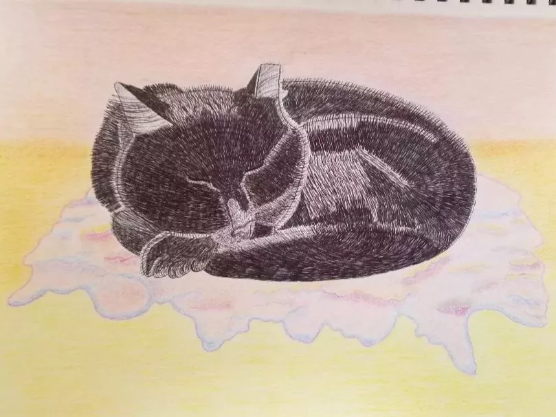 Meows and Roars of Inspiration: The Cat Art Project — Out of Step