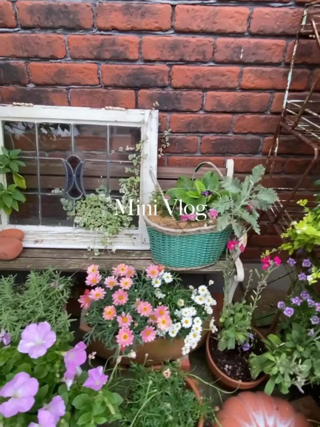 変形レンガ 花壇 煉瓦 茶 ガーデニング 庭 DIY ２５０個以上 - 工具、DIY用品