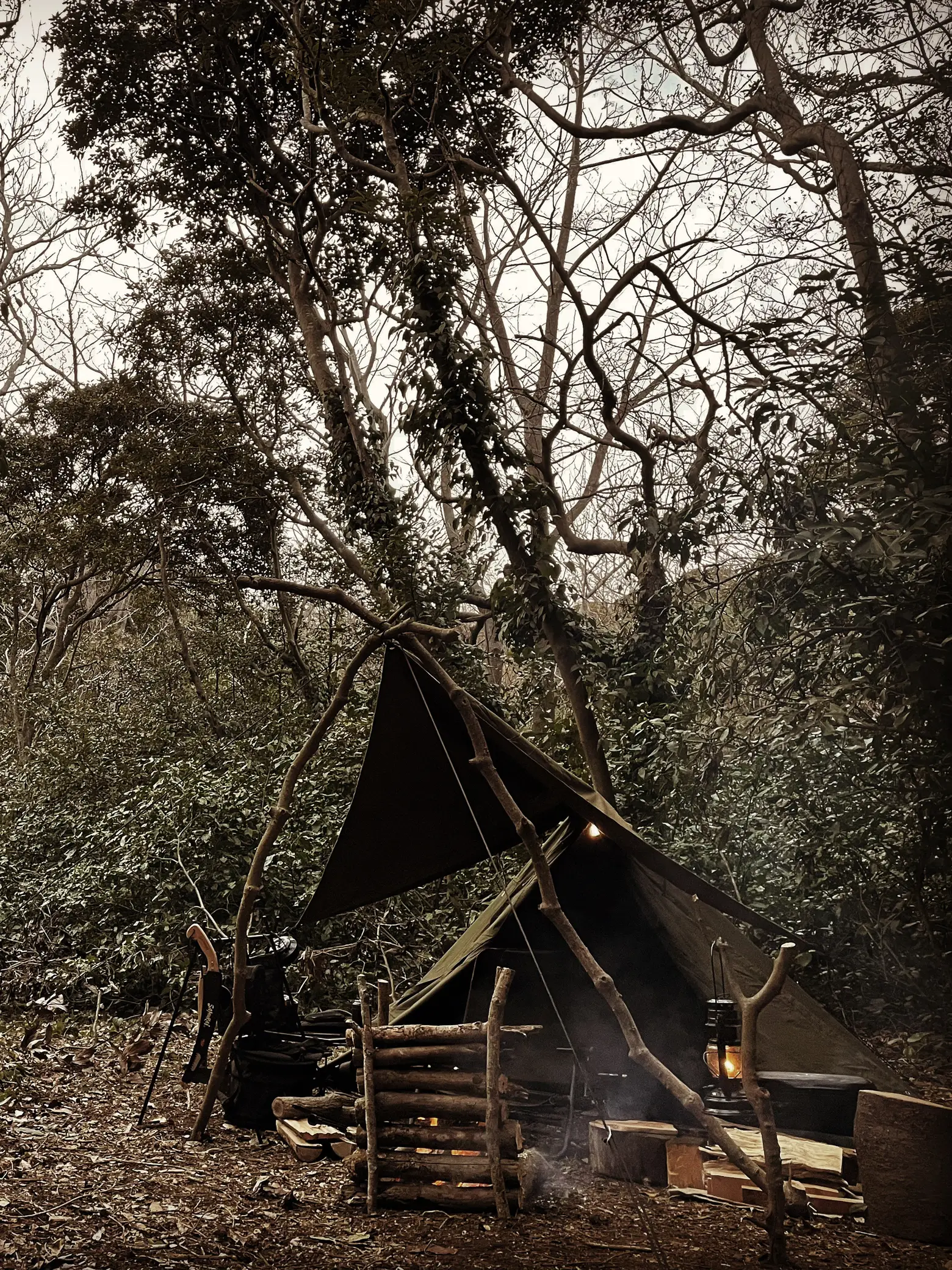 ポーランド軍幕×プラシパラトカ | ジョン🏕が投稿したフォトブック