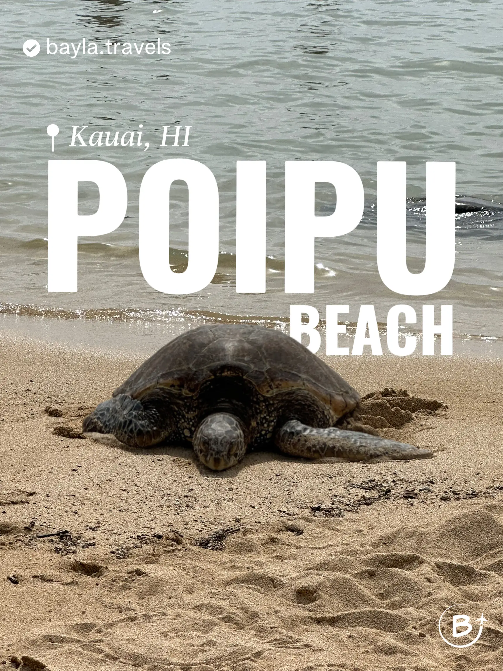 Honu Hawaiian Sea Turtle Tattoo Workout Set - Yoga Tank with Long Legg –  Ori Active