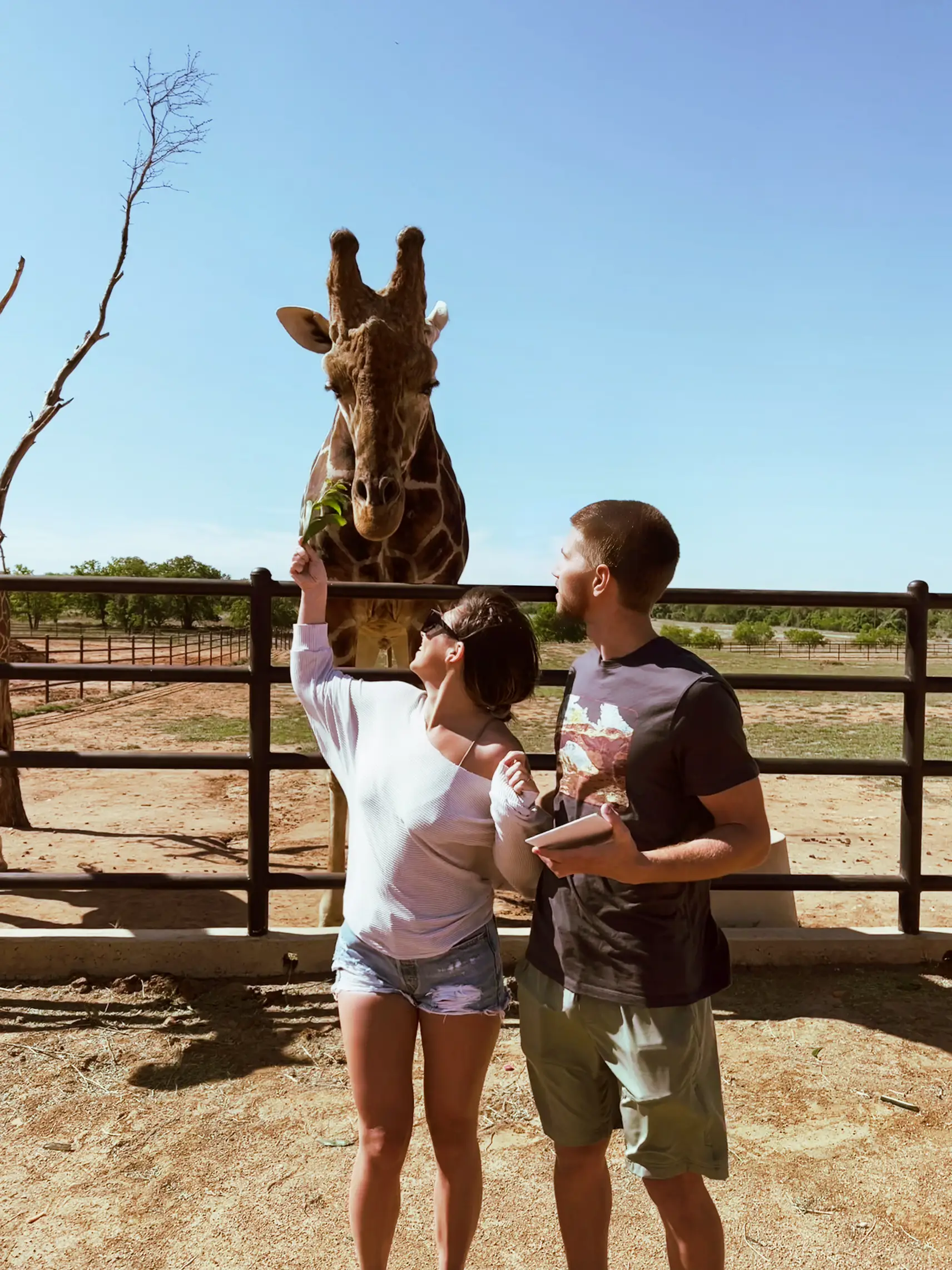  Two people are standing next to a giraffe.