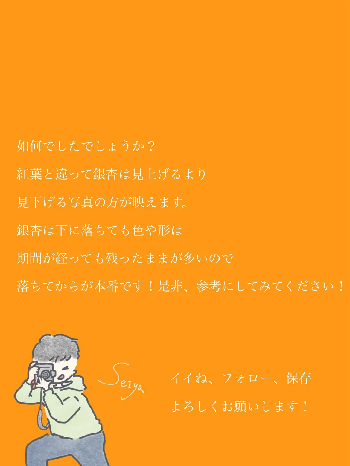 下から見上げた木の写真 - Lemon8検索