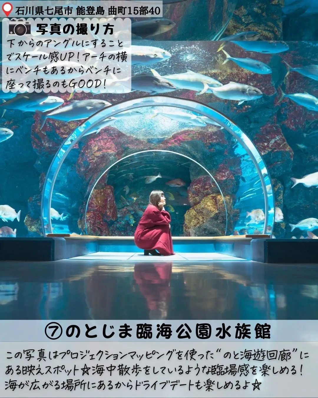 最終】手渡し可能 佐川美術館 かがくのとびら展 無料観覧券 4枚 - 施設