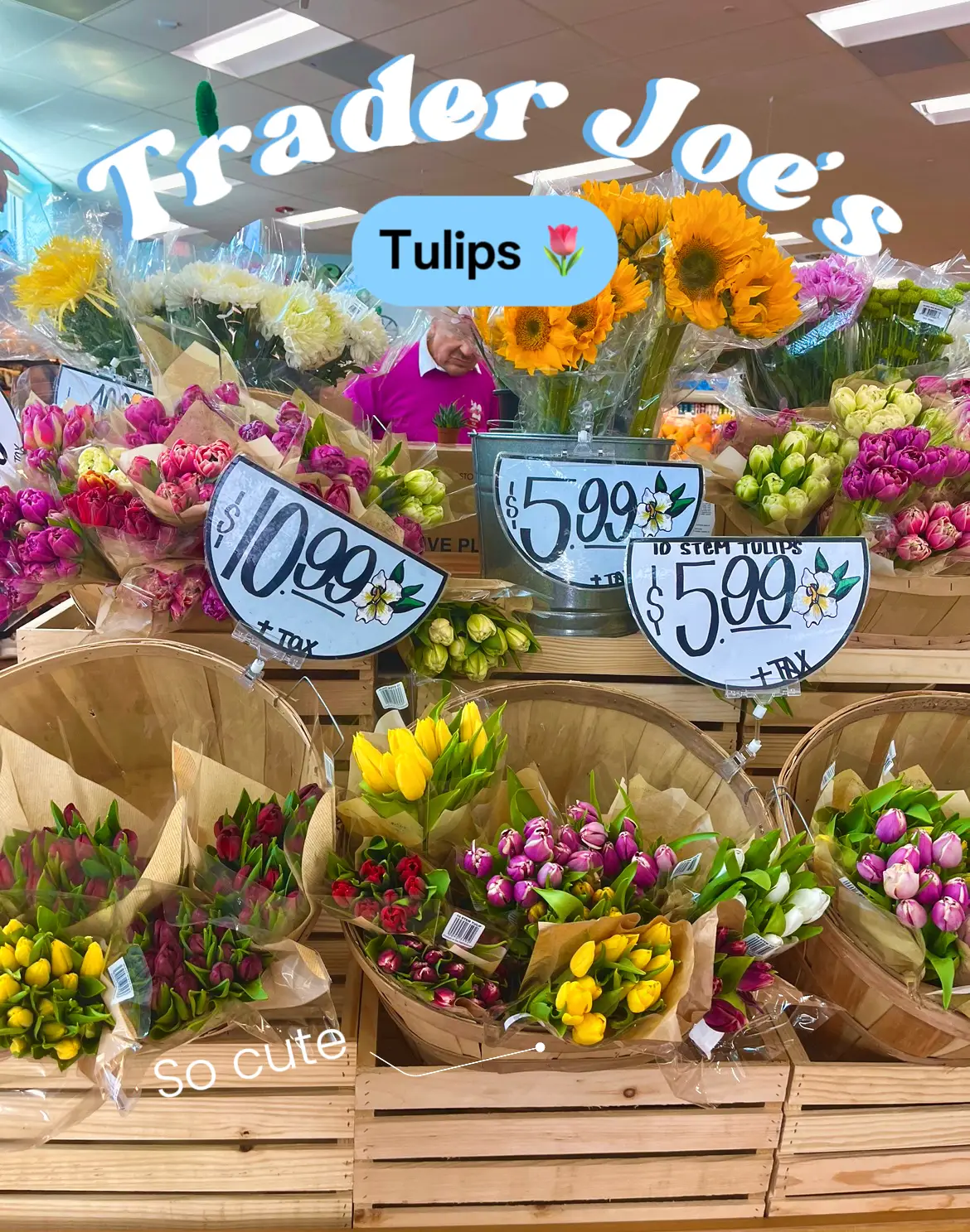 Trader Joe’s 🌷 Tulips !!! แกลเลอรีที่โพสต์โดย Butler Lemon8