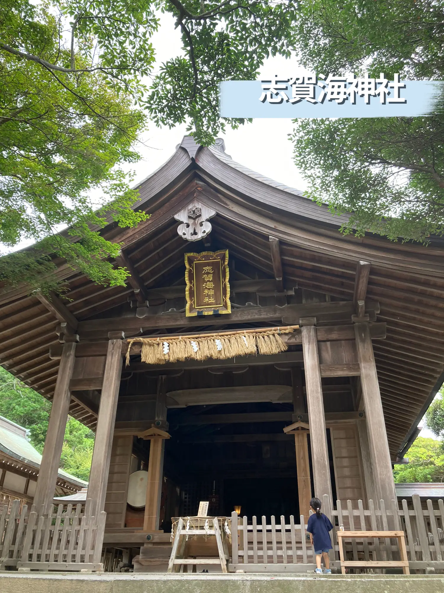 福岡⛩ 志賀島 志賀海神社 龍神様がいる神社🐉✨ | 小緒里が投稿したフォトブック | Lemon8