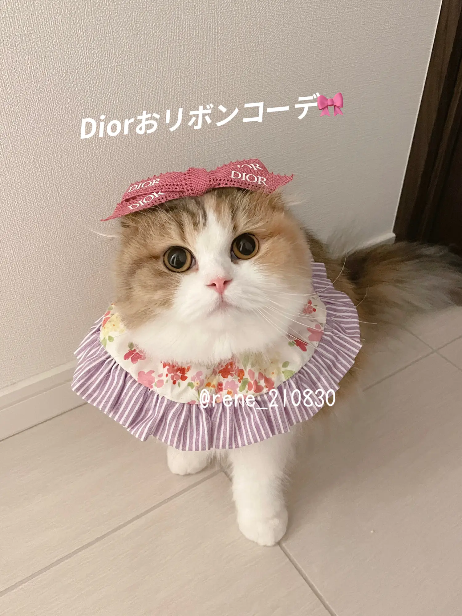 春コーデ🌸】Diorのリボンアレンジ | René🎀ルネが投稿したフォト