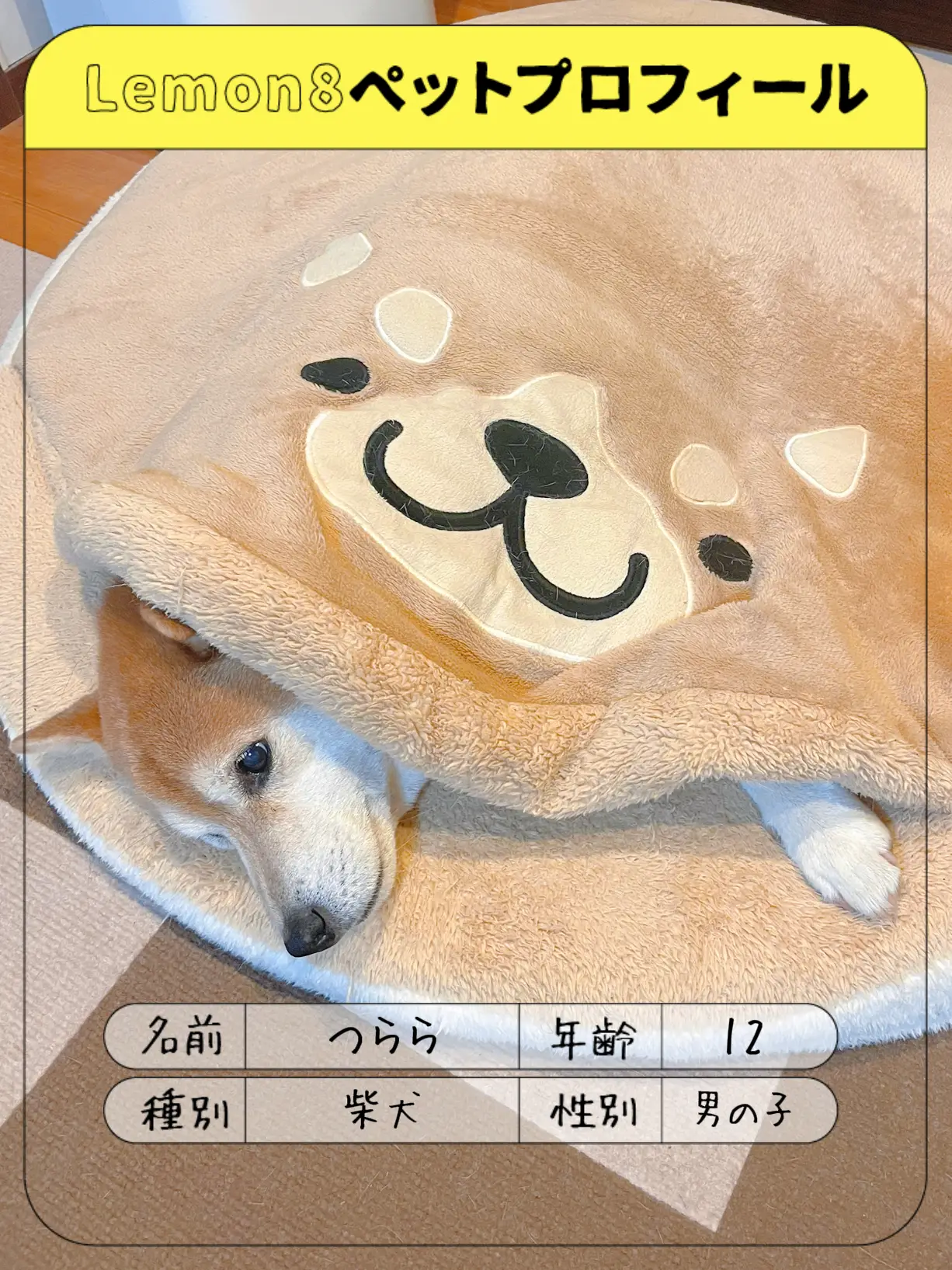 羊毛フェルト 柴犬ちゃんブローチ③ ハンドメイド - その他