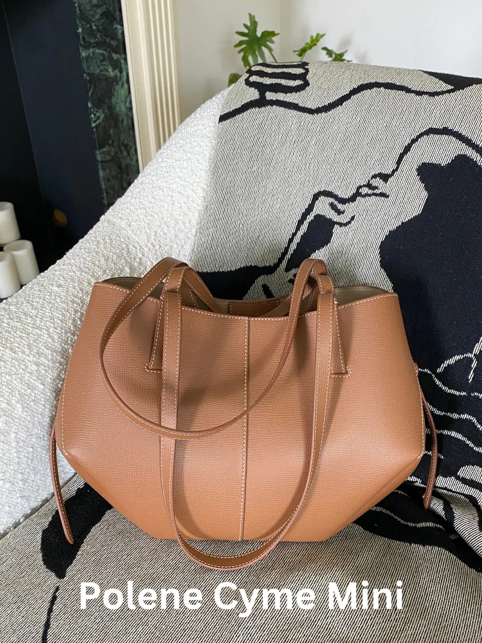 My first polene 🥹 : r/handbags