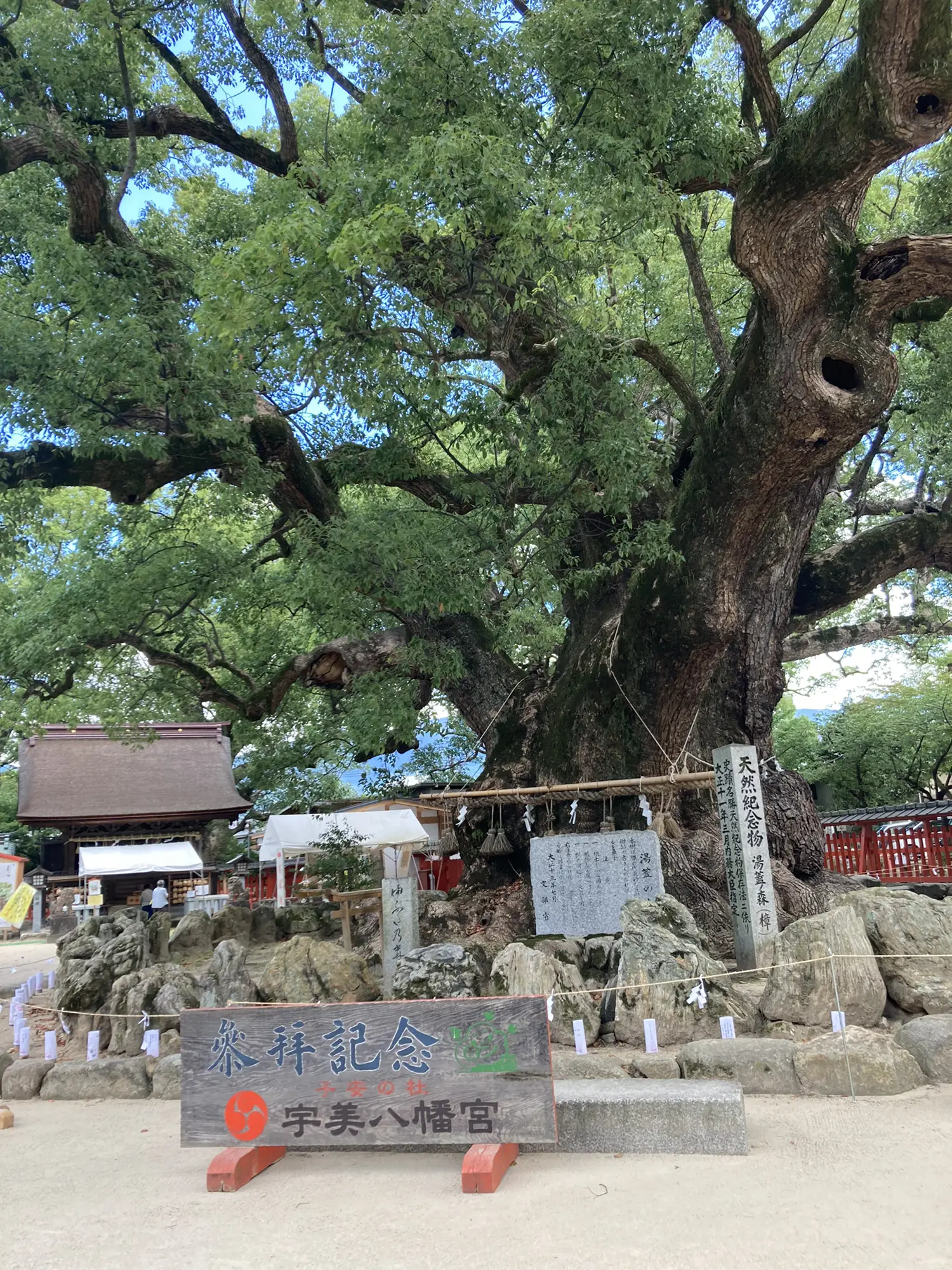 ⛩宇美八幡宮✨安産祈願✨子供祈願✨&ランチは「marumi cafe cafe」 | 小緒里が投稿したフォトブック | Lemon8