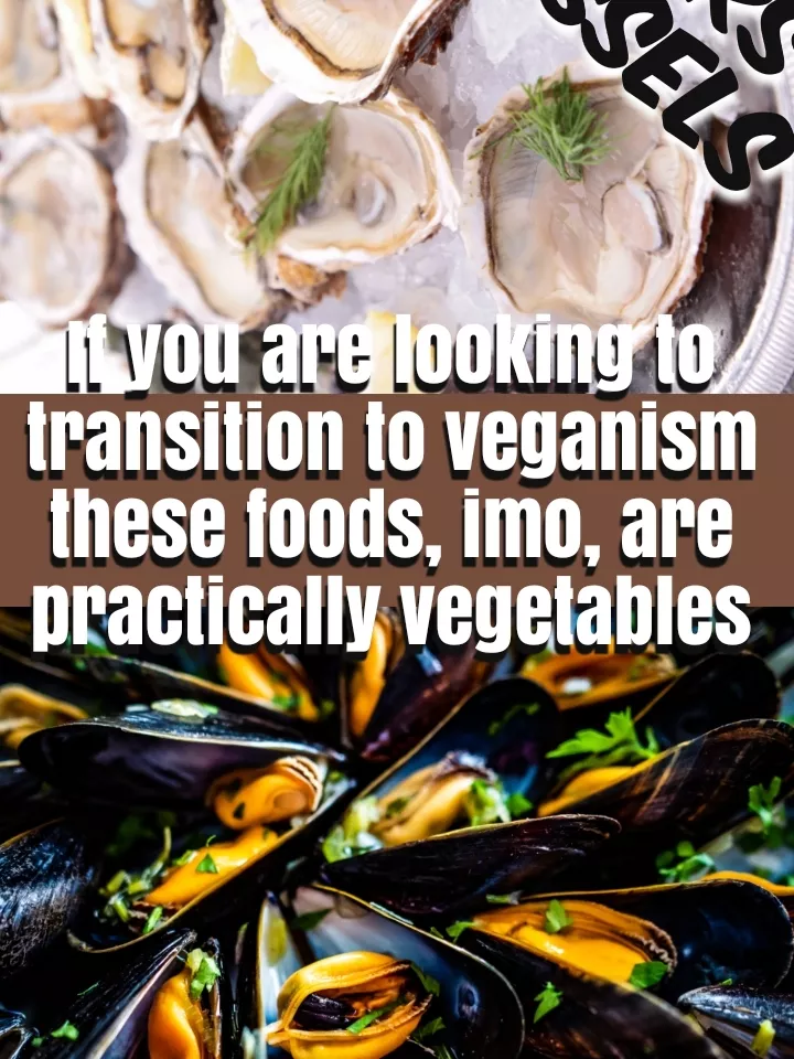 Oysters and mussels (not quite vegan, I guess). Gallery posted by