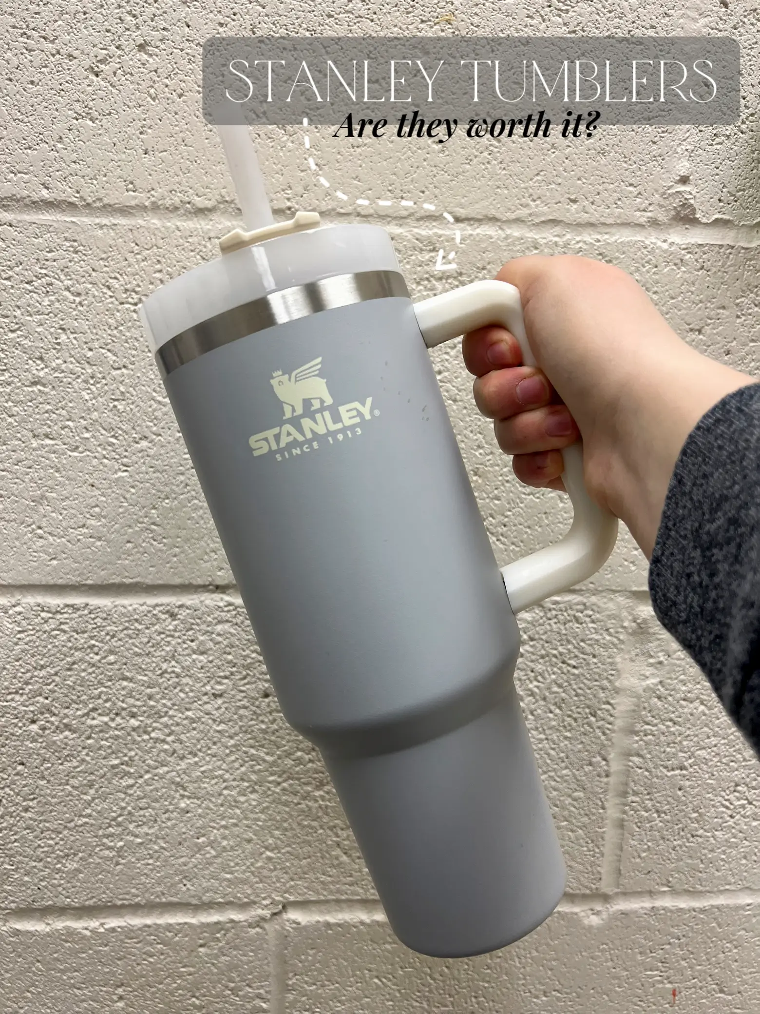 I Thought I Loved Stanley, but After Trying Out This New Tumbler, I'm Never  Going Back