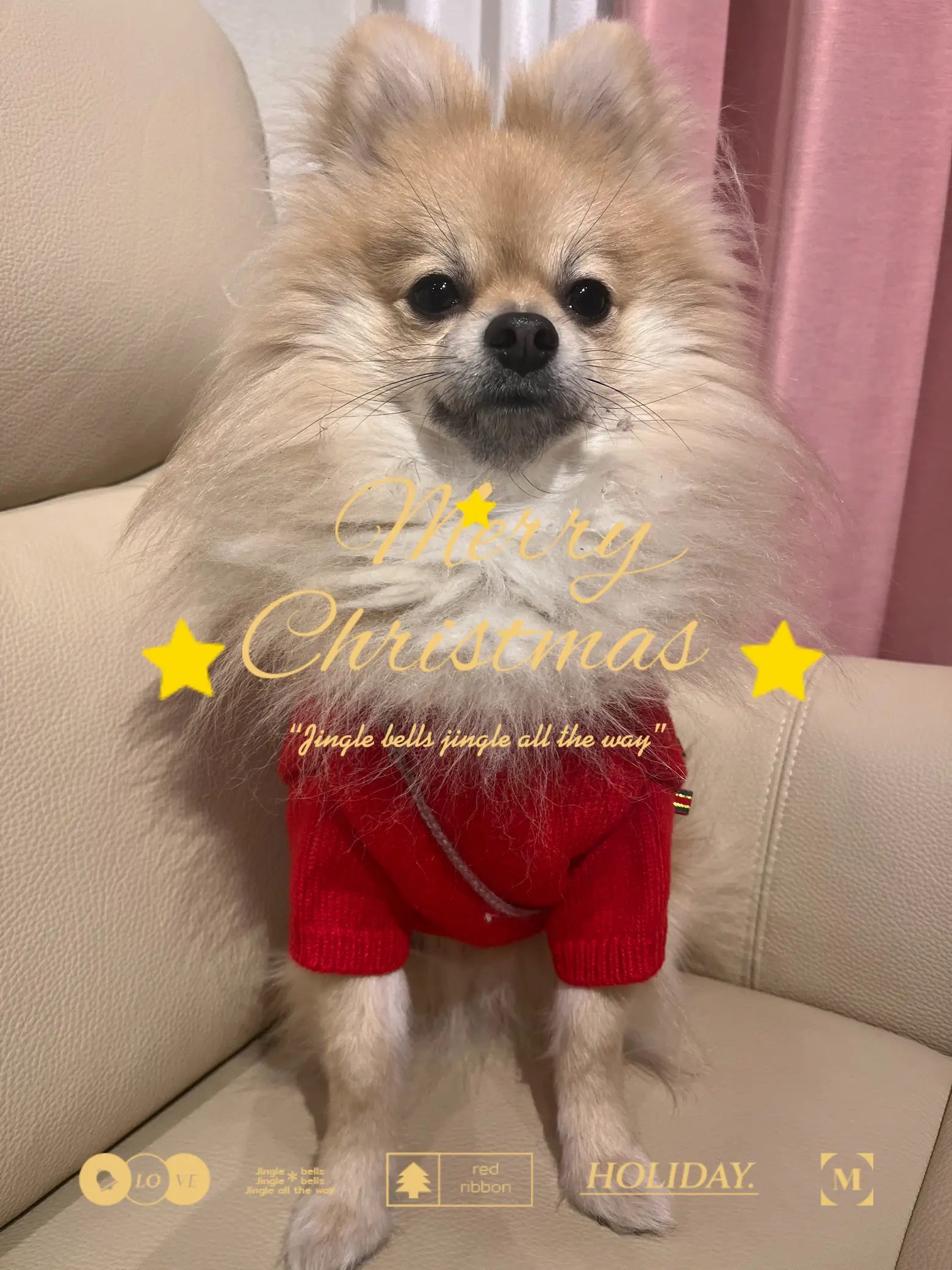 クリスマスポメちゃんオーダーページ