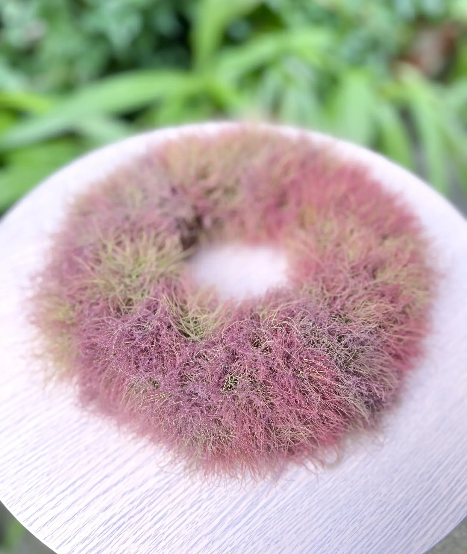 Smoke tree wreath | fortuna_m.hが投稿したフォトブック | Lemon8