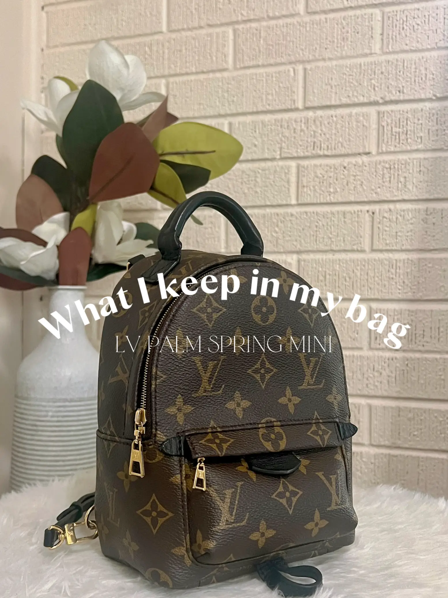 Louis Vuitton - PALM SPRINGS MINI BACKPACK - first impressions, review and  what fits/WIMB 