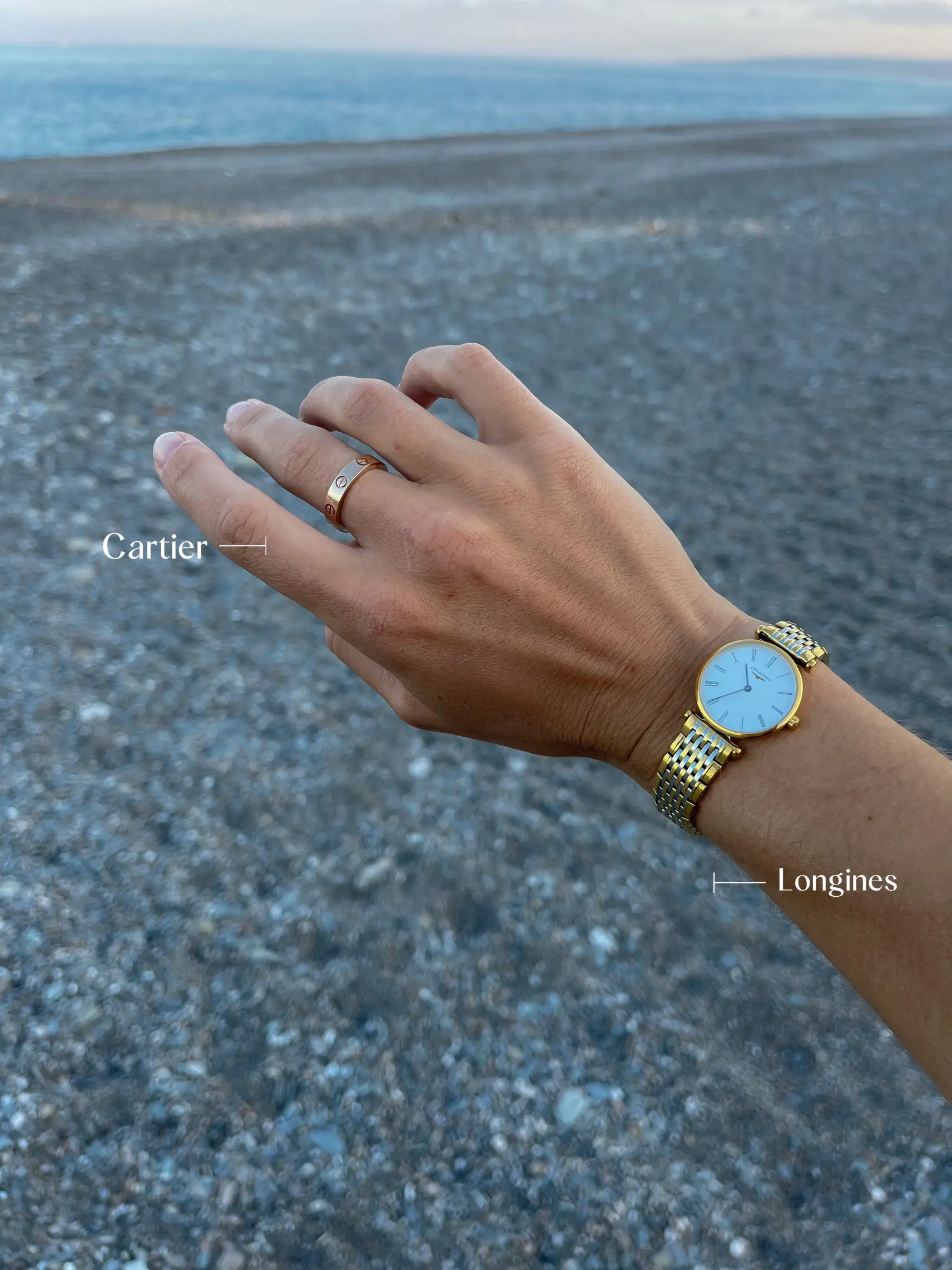 Longines Lemon8 Search