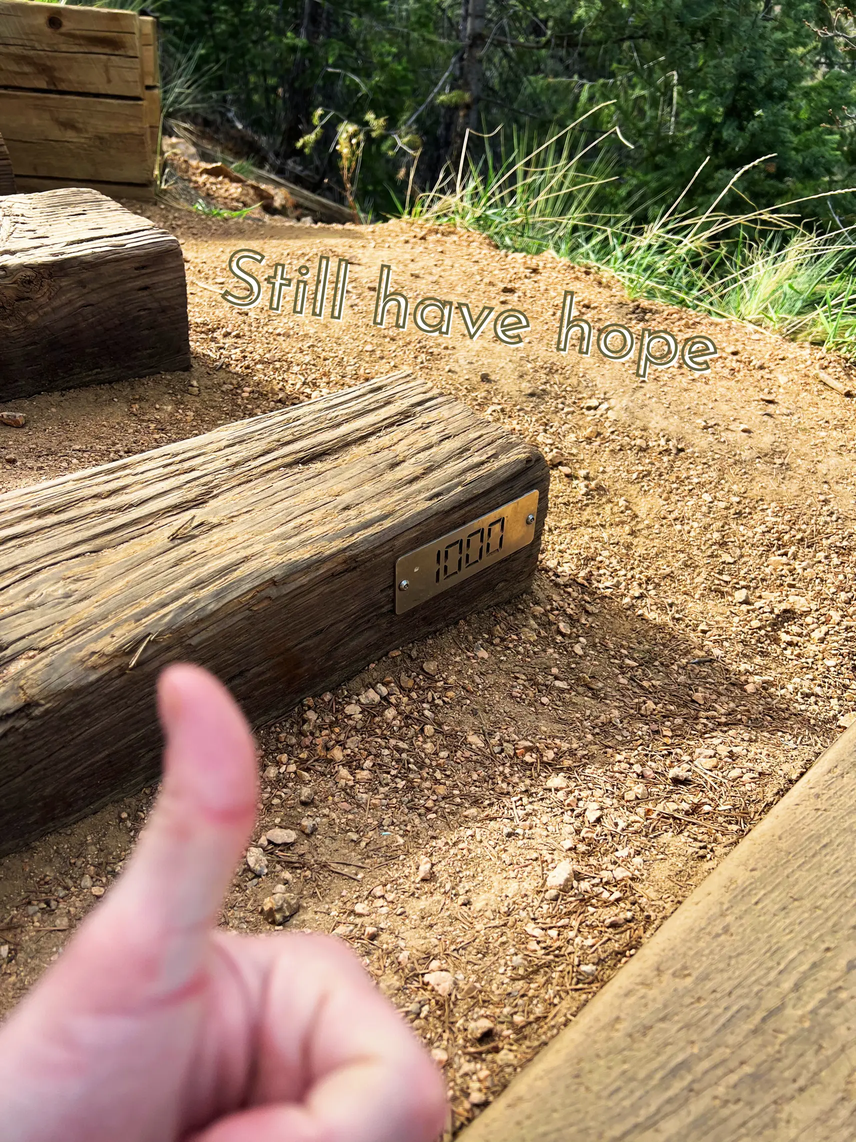 Conquering the Manitou Incline (2,768 steps!) Gallery posted by