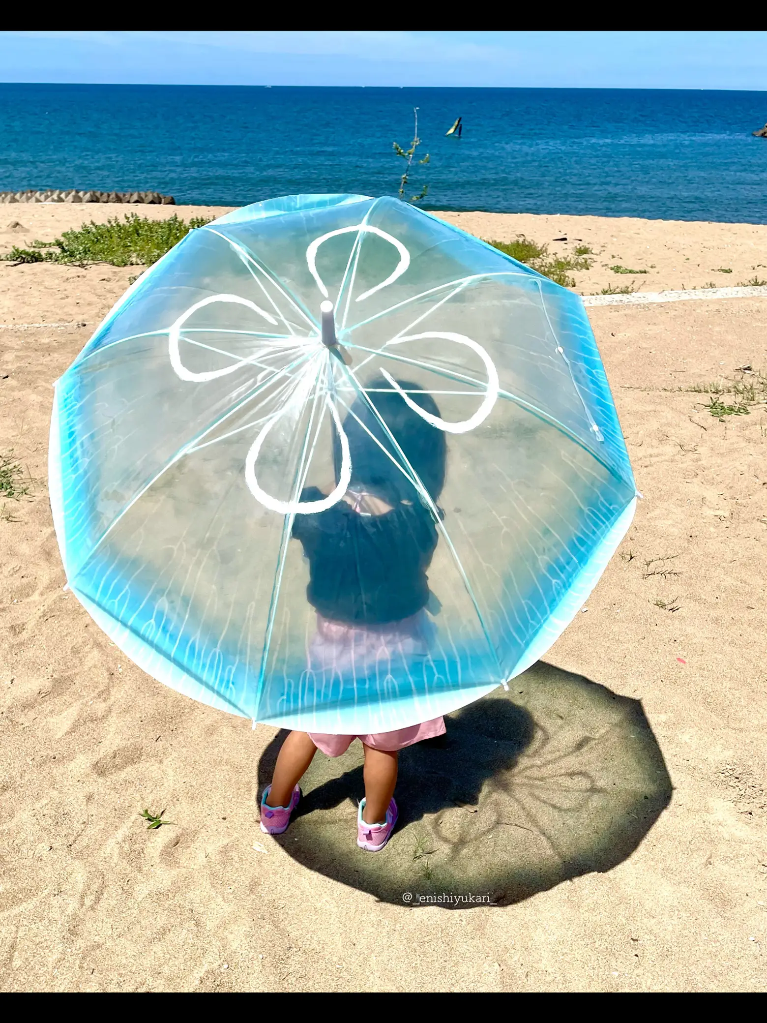 雨空を泳ぐ ミズクラゲの傘 | 社畜系女子(勤続19年目)が投稿したフォト